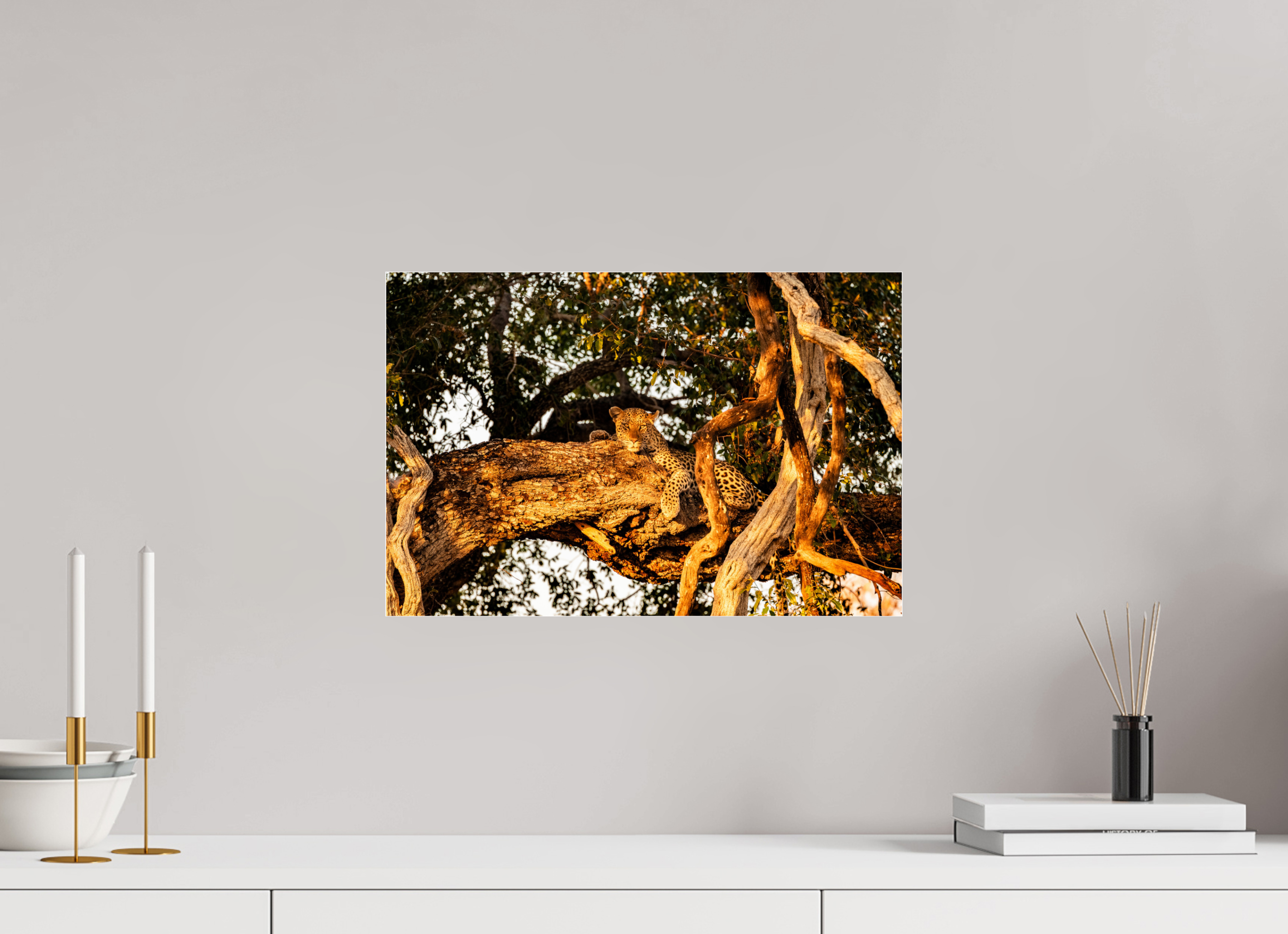 45 x 30 cm, Photo Print Under Acrylic Glass Leopard_Okavango_Delta