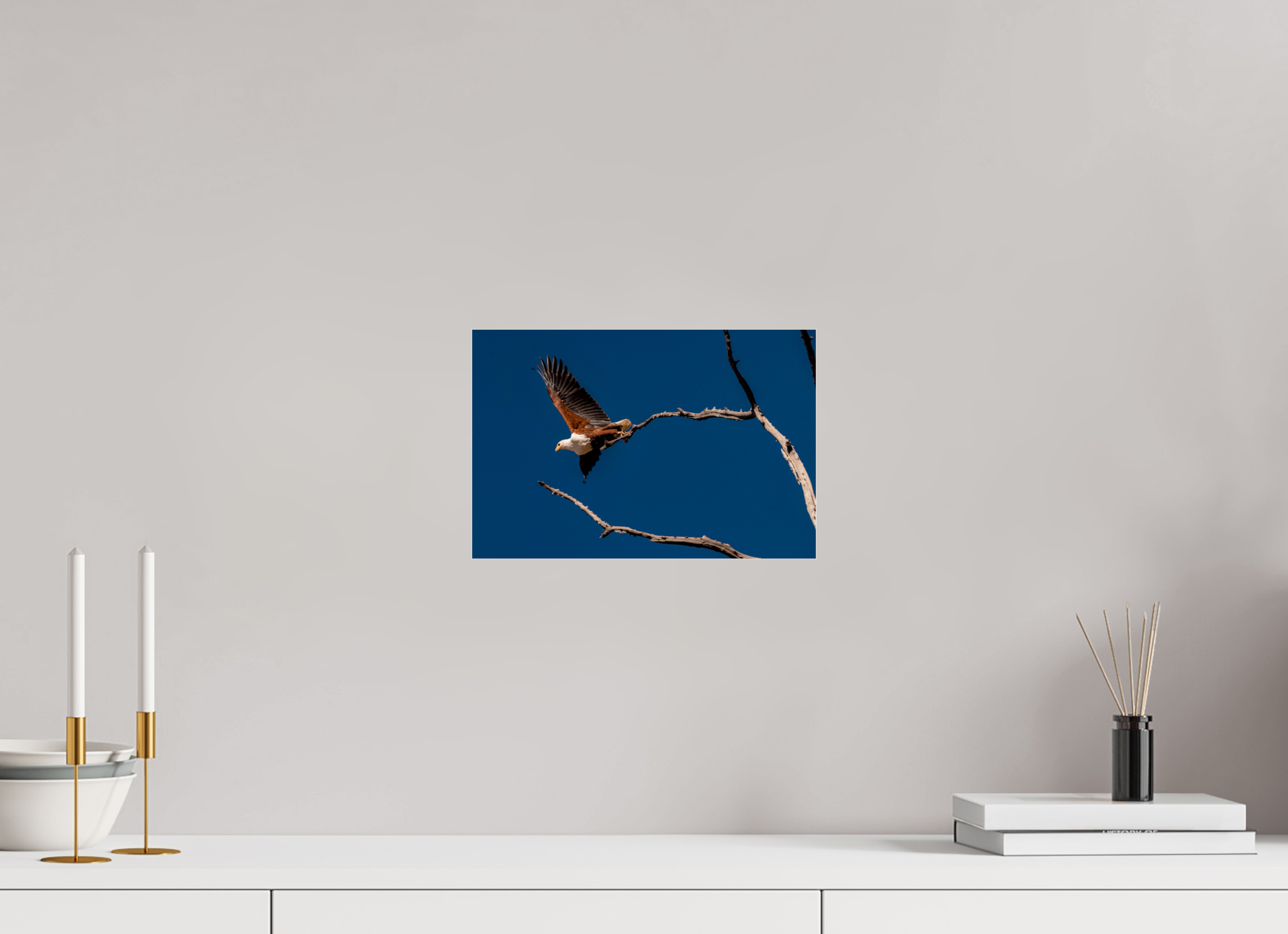 30 x 20 cm, Photo Print Under Acrylic Glass Fish Eagle launching, Lake Kariba, Zimbabwe, 2018