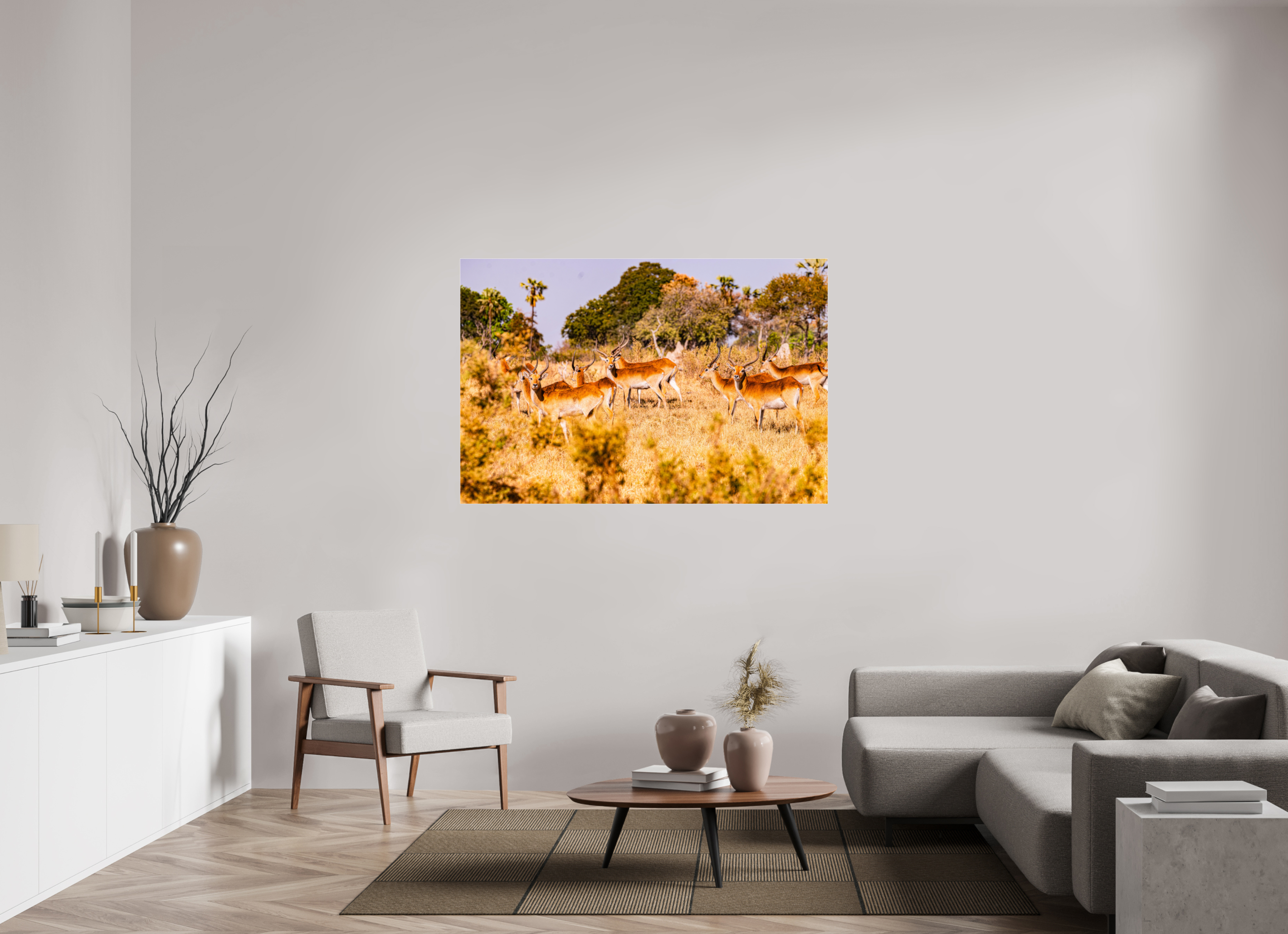 150 x 100 cm, Photo Print Under Acrylic Glass Lechwe Antilope, Okavango Delta, Botswana, 2025