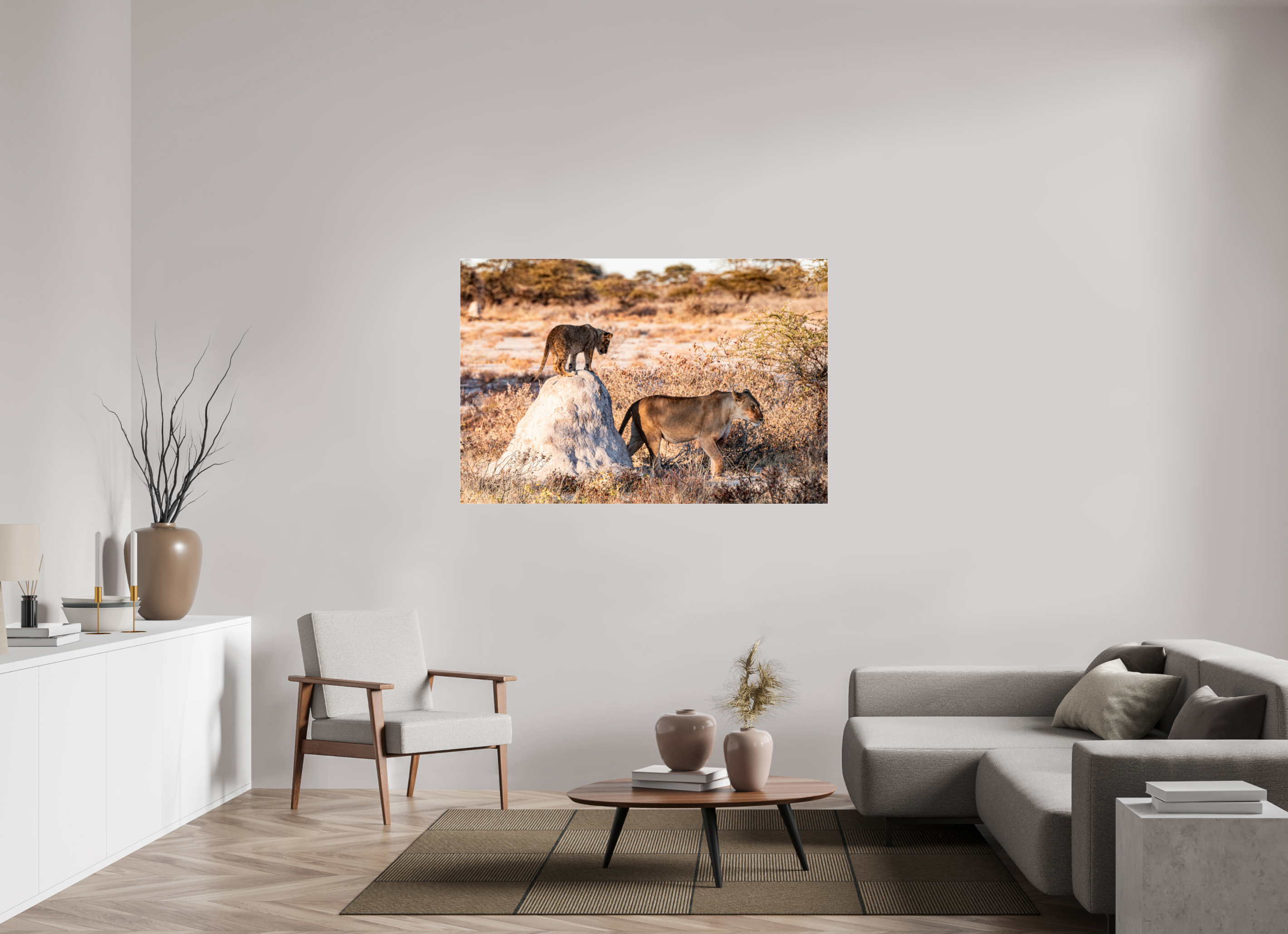 150 x 100 cm, Photo Print Under Acrylic Glass Lion mother with cub, Chobe National Park, Botswana, 2025