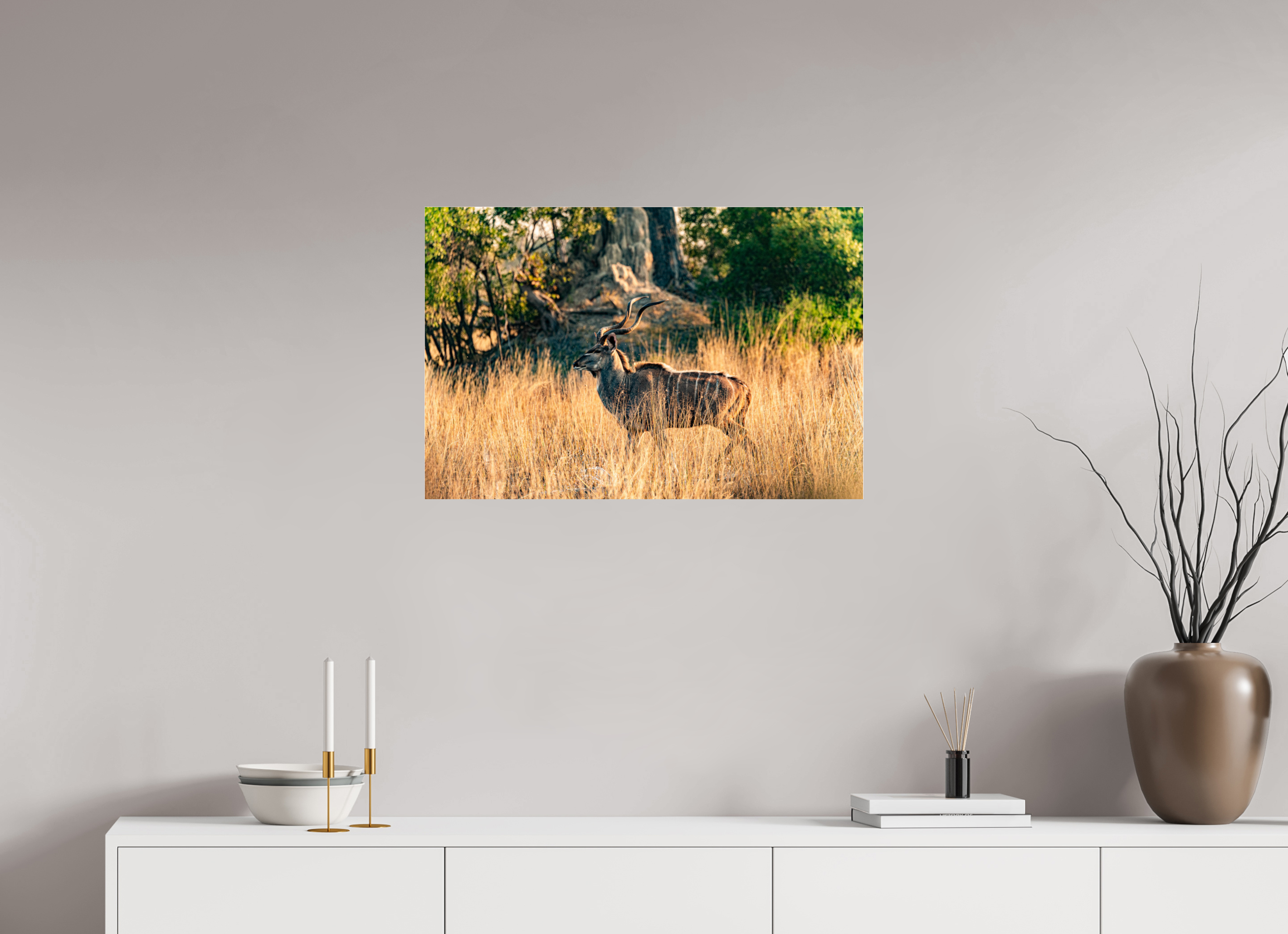 75 x 50 cm, Photo Print Under Acrylic Glass Kudu Antilope, Okavango Delta, Botswana, 2025