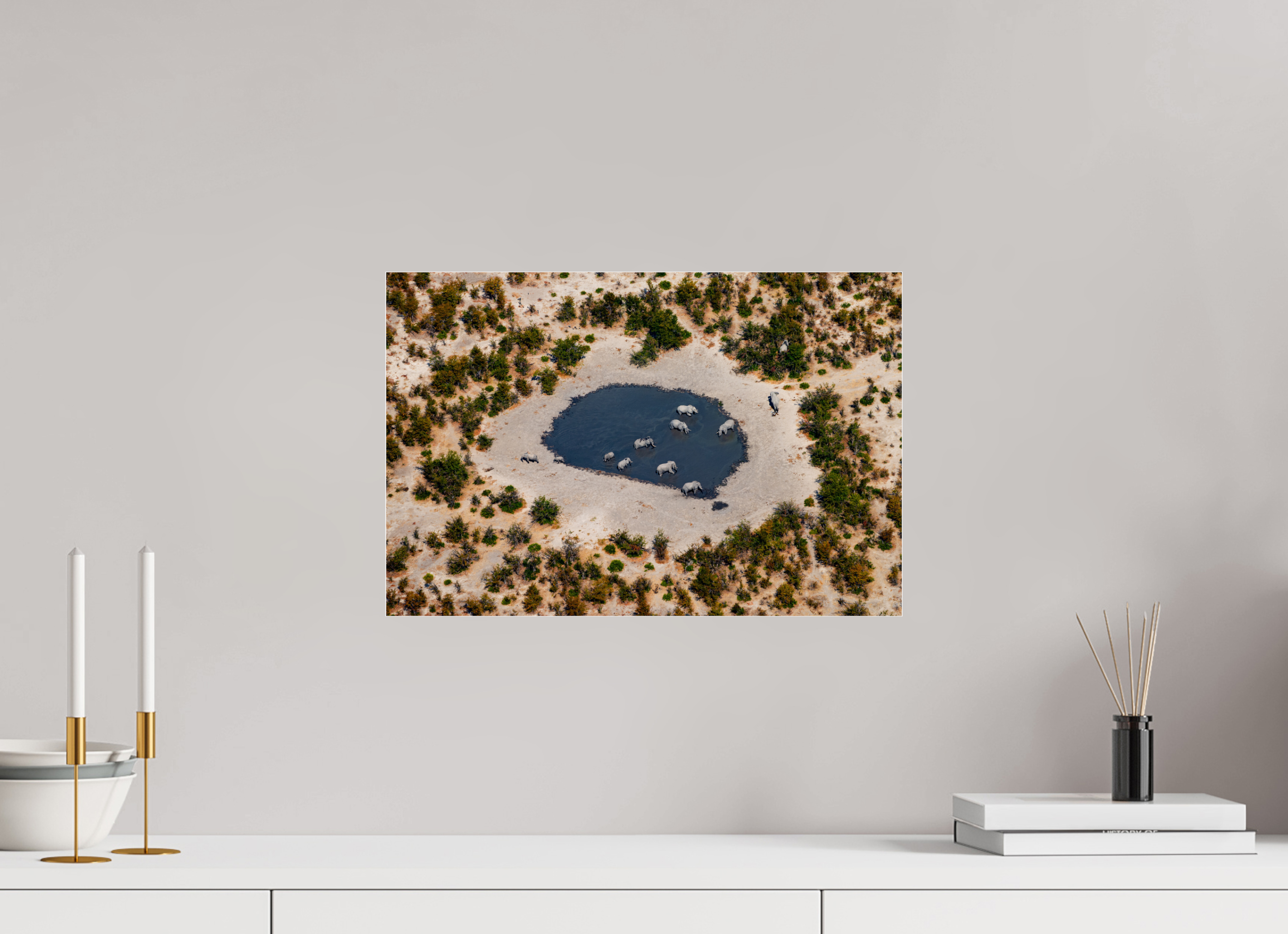 45 x 30 cm, Photo Print Under Acrylic Glass Elefant from above, Caprivi, Namibia, 2025