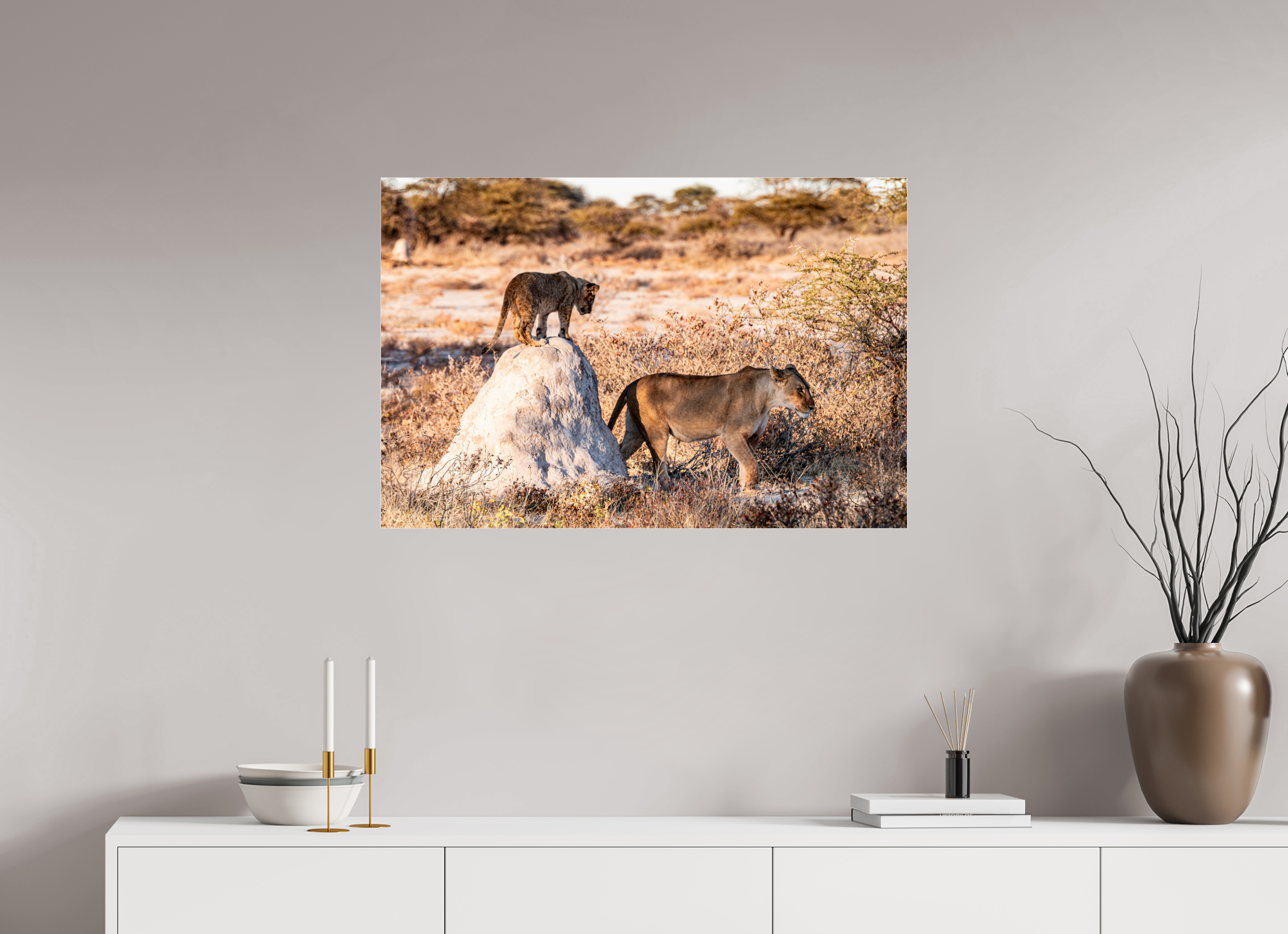 90 x 60 cm, Photo Print Under Acrylic Glass Lion mother with cub, Chobe National Park, Botswana, 2025