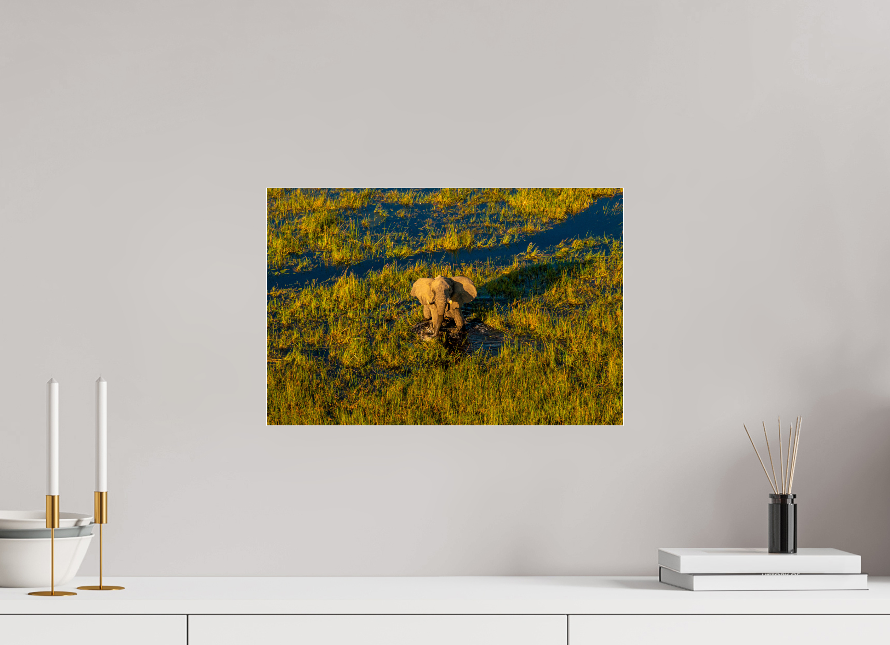 45 x 30 cm, Photo Print Under Acrylic Glass Elefant from above, Okavango Delta, Botswana, 2025