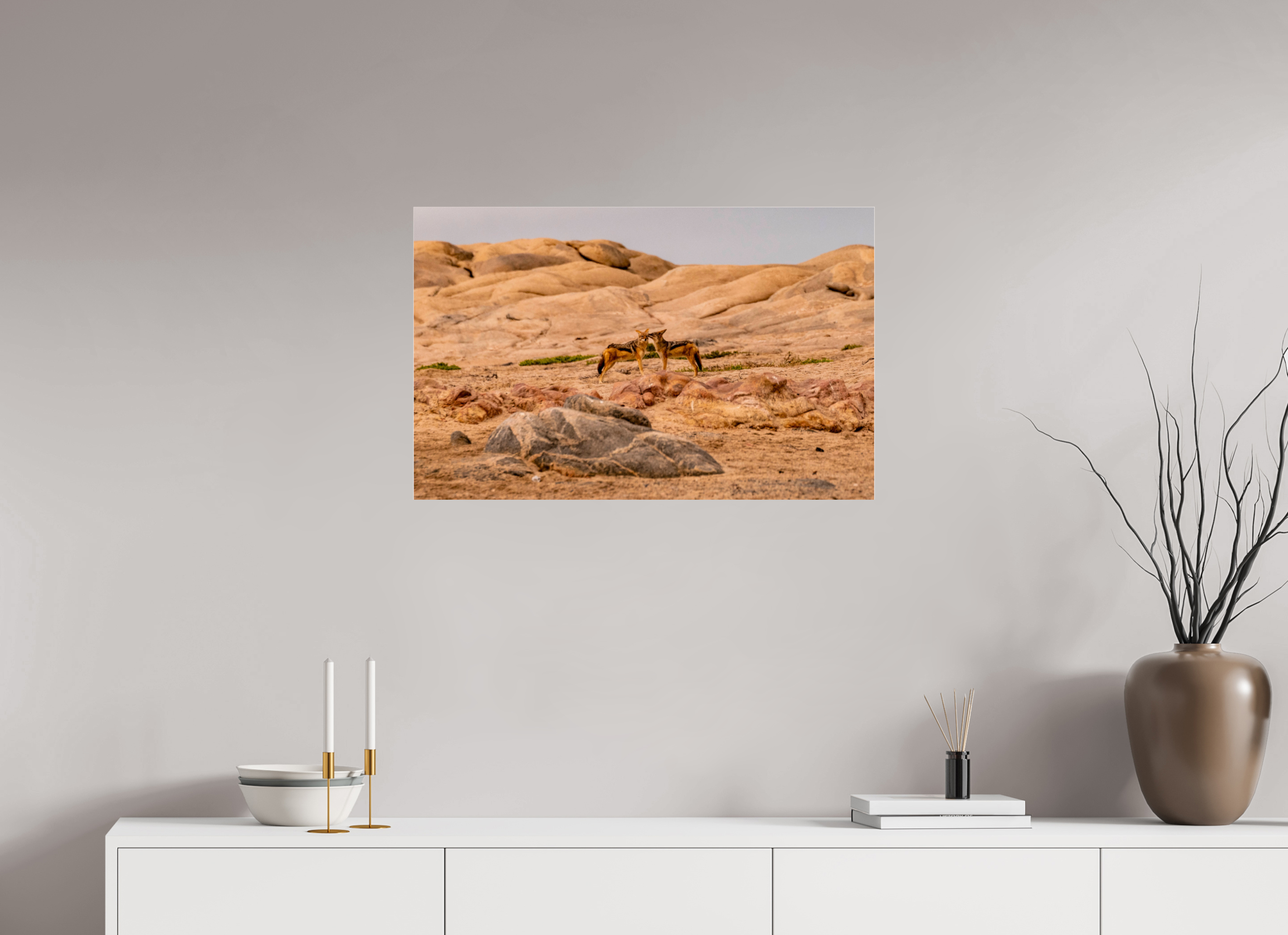 78,8 x 50 cm, Photo Print Under Acrylic Glass Jackal, Skeleton Cost, Namibia, 2025
