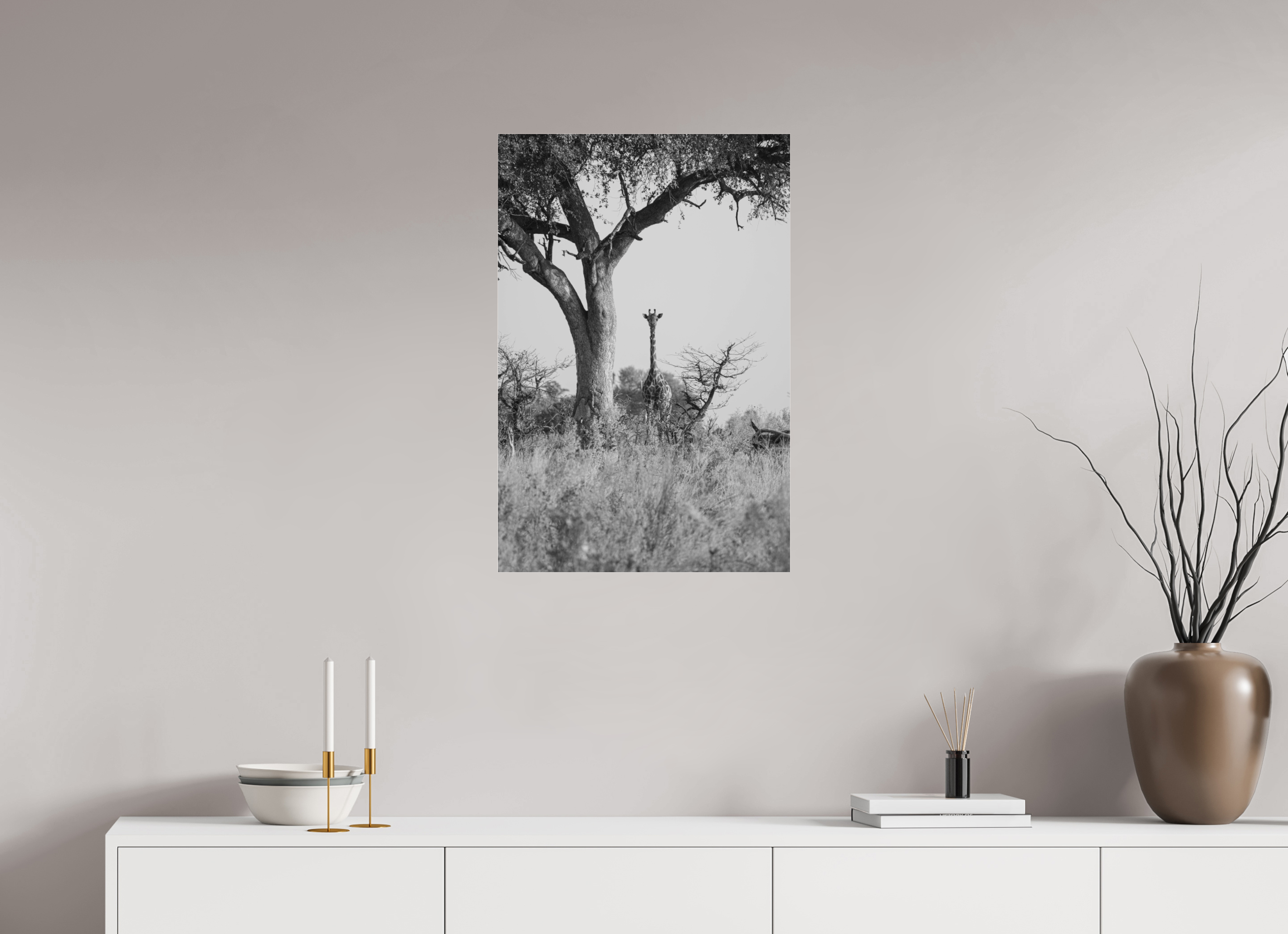 50 x 75 cm, Photo Print Under Acrylic Glass Giraffe, Okavango Delta, Botswana, 2025