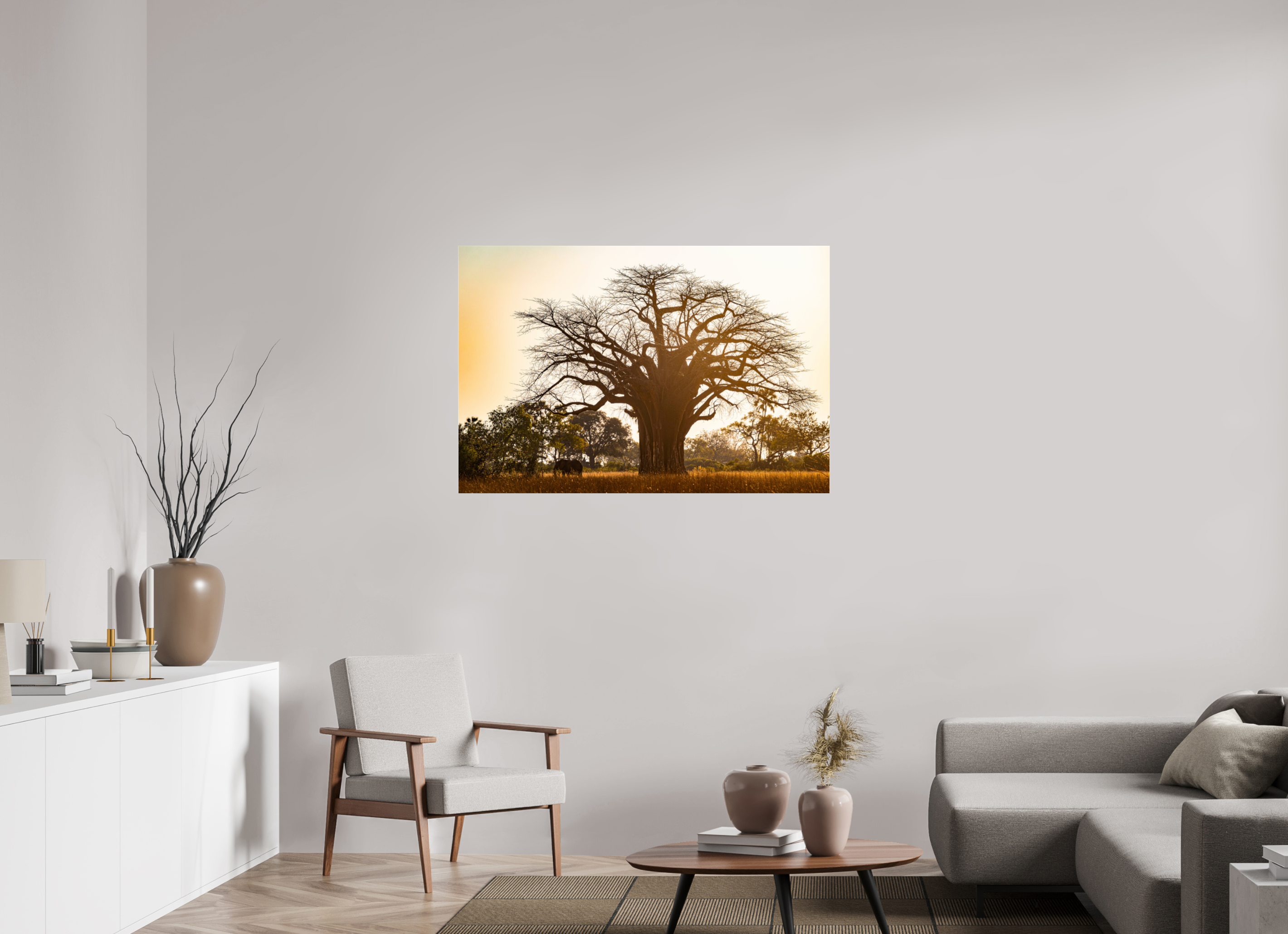 120 x 80 cm, Photo Print Under Acrylic Glass Baobab tree, Botswana, 2025