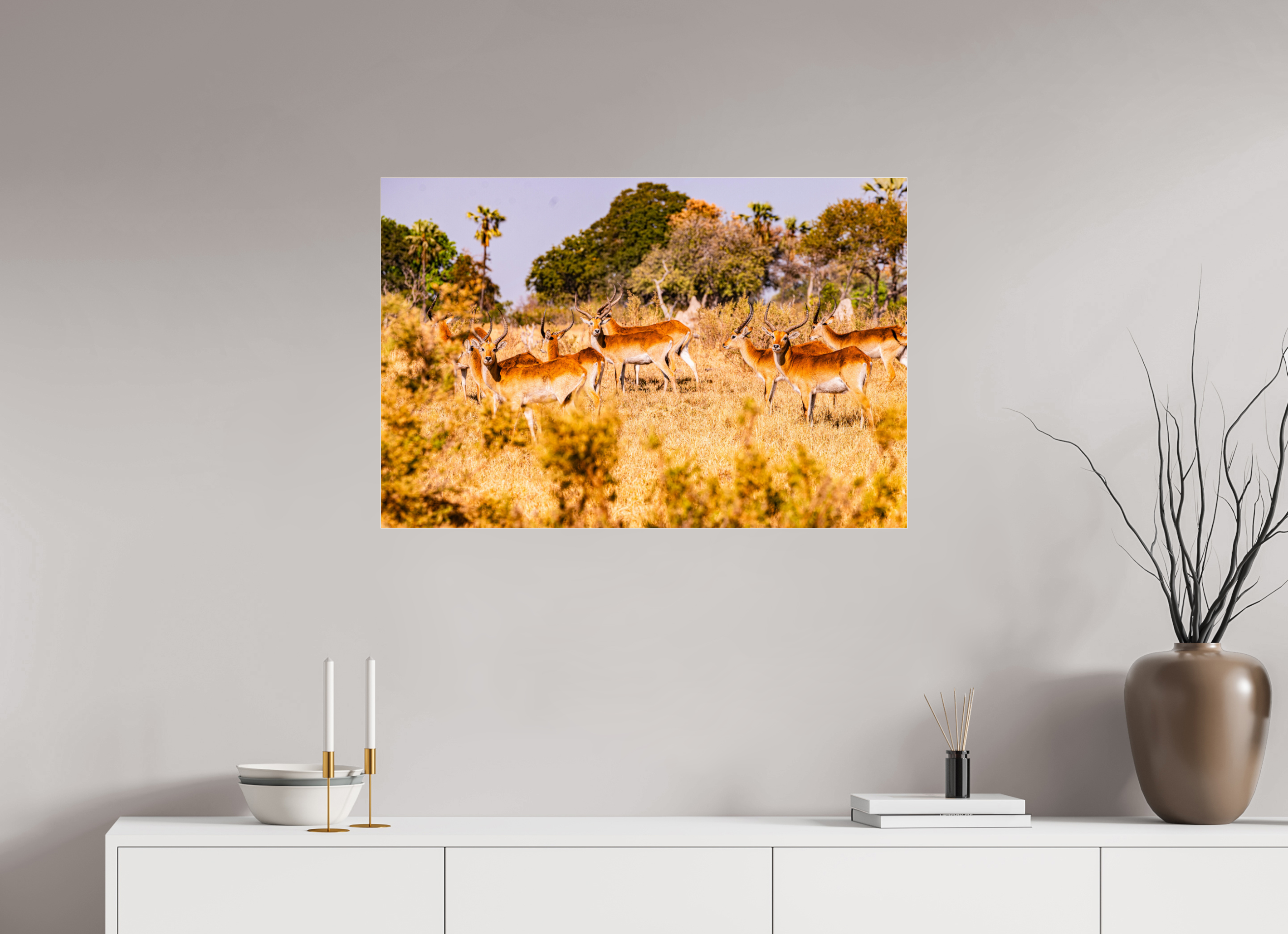 90 x 60 cm, Photo Print Under Acrylic Glass Lechwe Antilope, Okavango Delta, Botswana, 2025