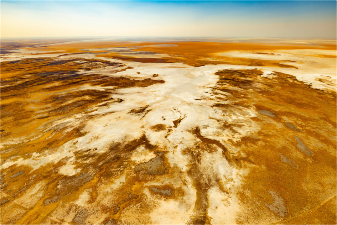 Main image Etosha Pan, Namibia, 2025