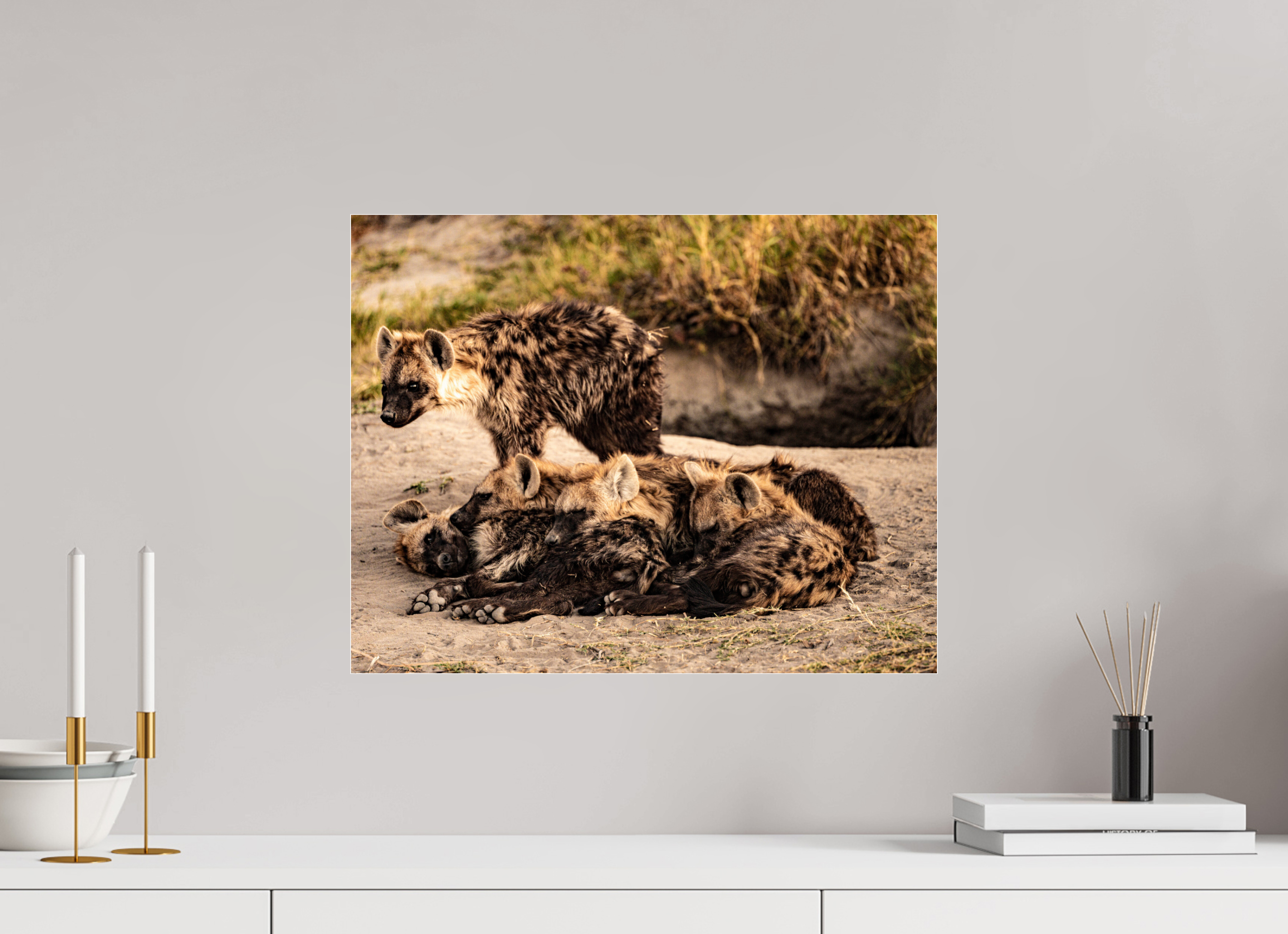 51,1 x 40 cm, Photo Print Under Acrylic Glass Hyena Family, Okavango Delta, Botswana, 2025