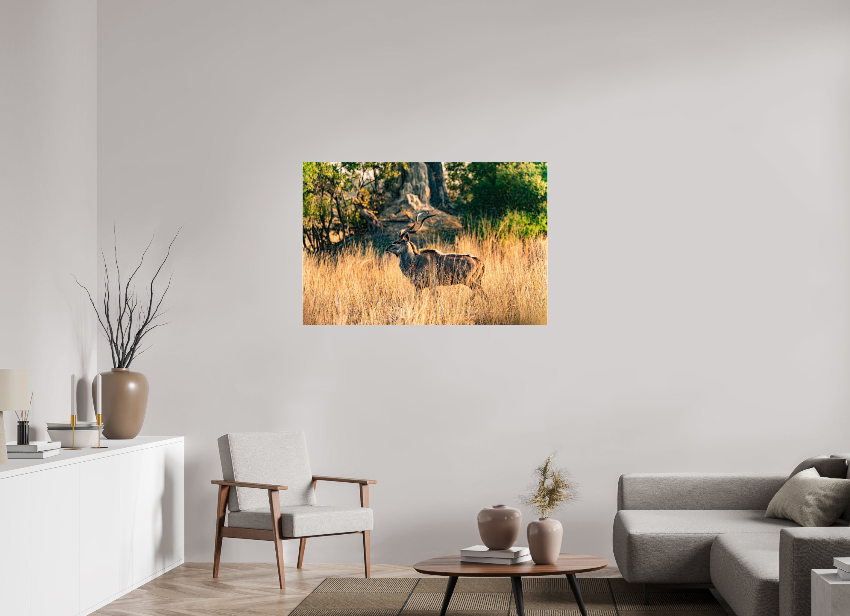 120 x 80 cm, Photo Print Under Acrylic Glass Kudu Antilope, Okavango Delta, Botswana, 2025