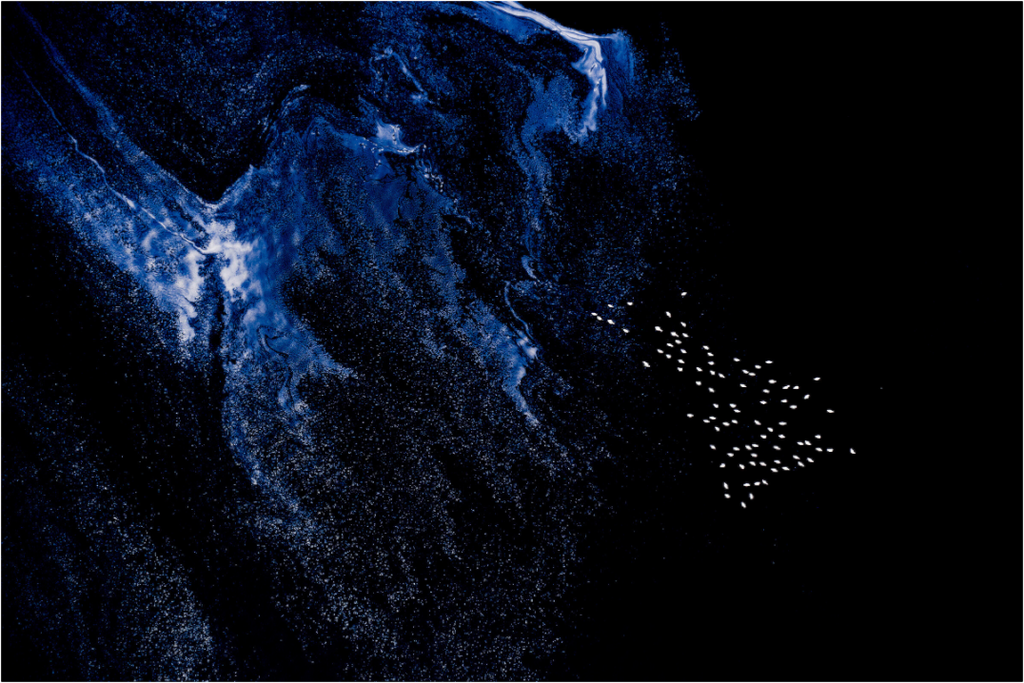 Main image Flamingos at Lake Natron, Tansania, 2018