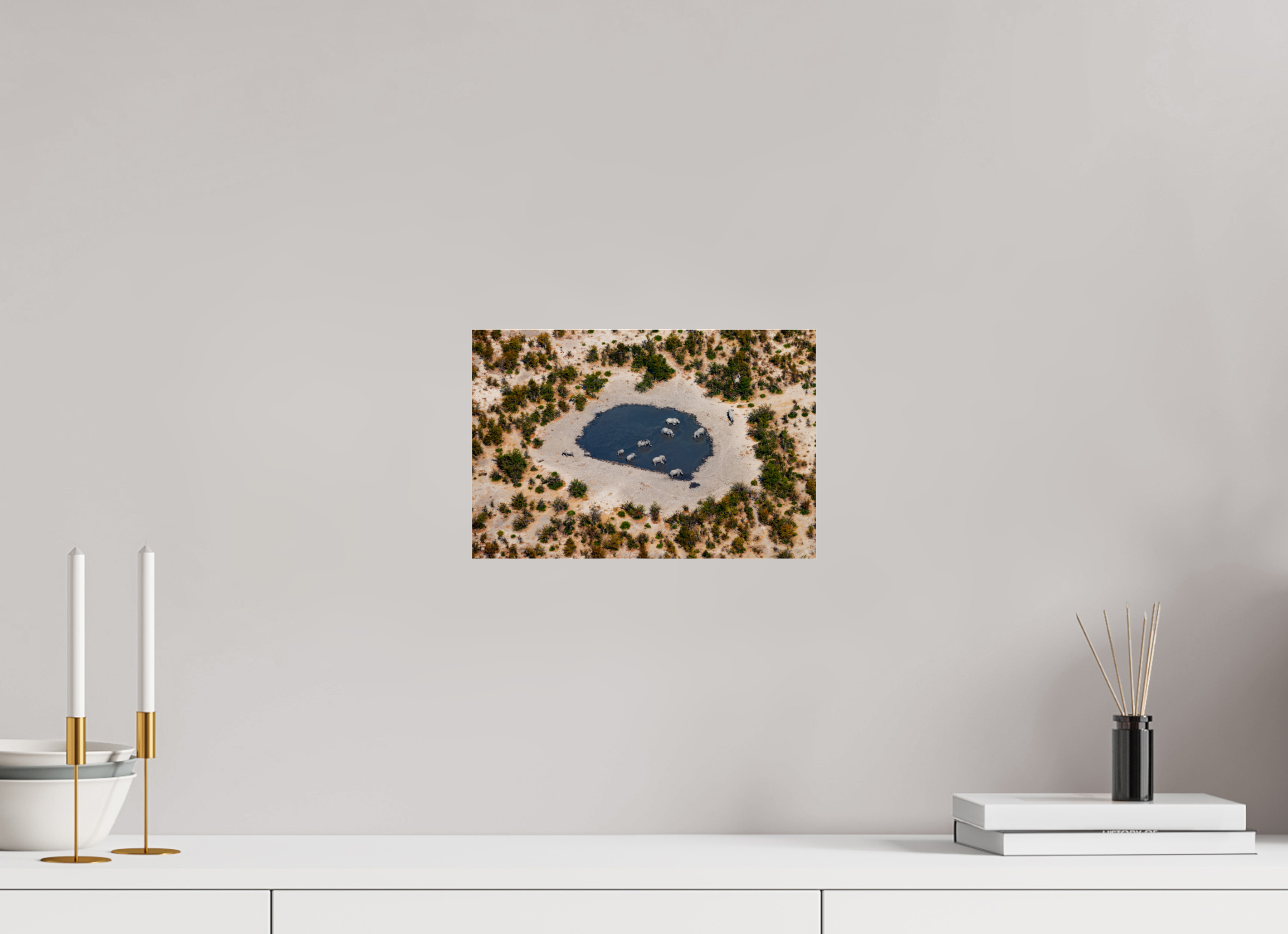 30 x 20 cm, Photo Print Under Acrylic Glass Elefant from above, Caprivi, Namibia, 2025