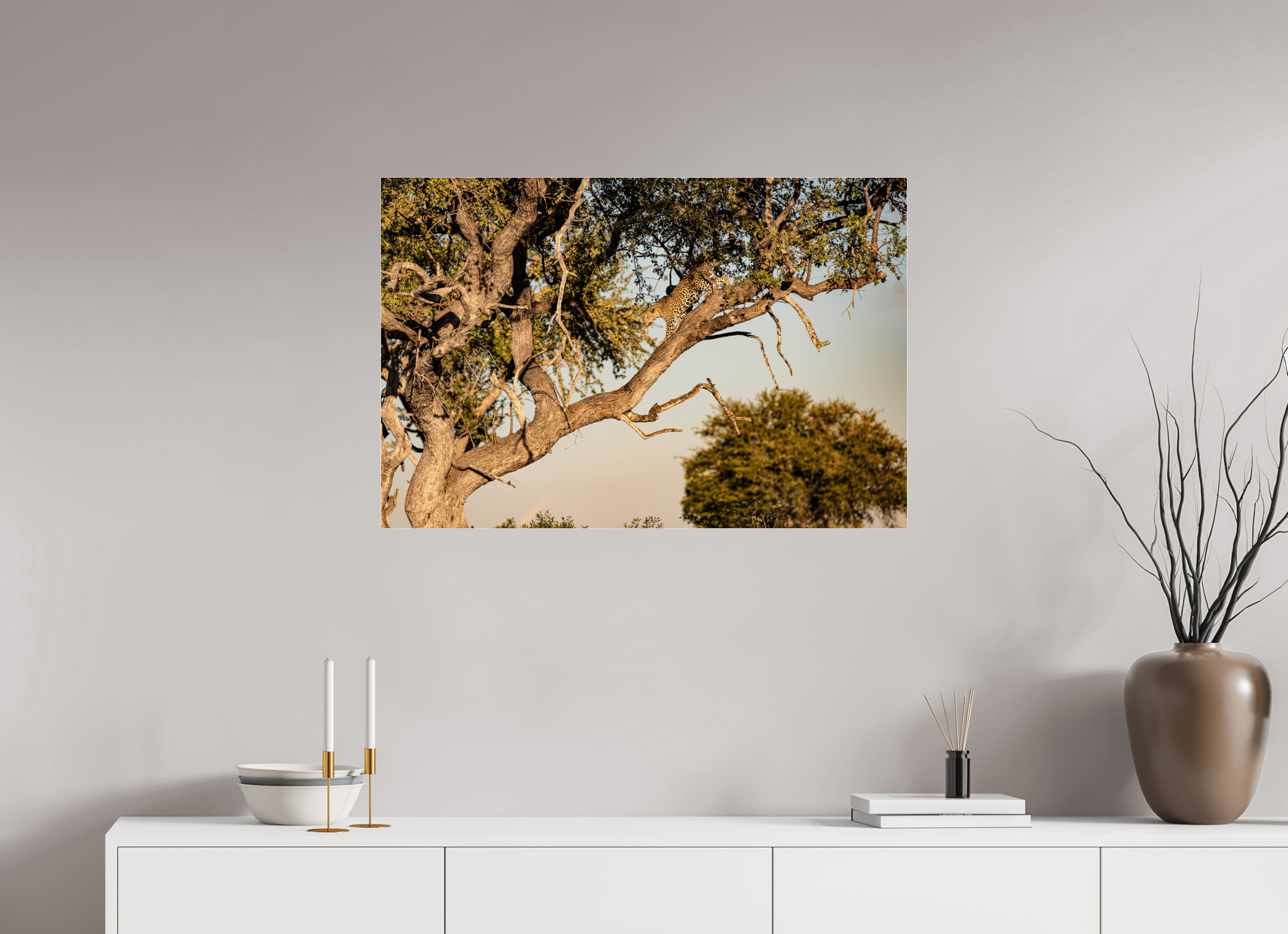 90 x 60 cm, Photo Print Under Acrylic Glass Leopard walking, Okavango Delta, Botswana, 2025