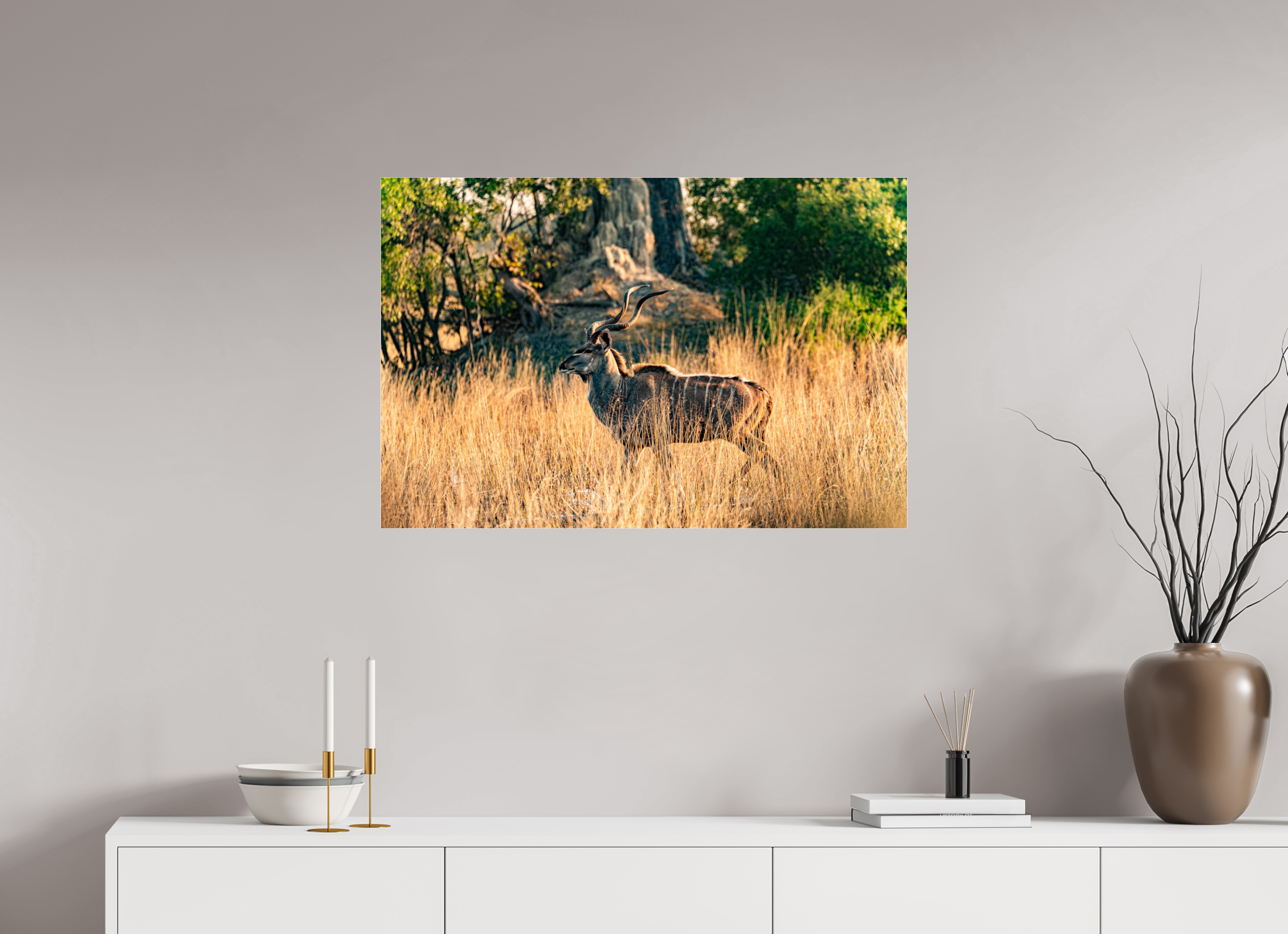 90 x 60 cm, Photo Print Under Acrylic Glass Kudu Antilope, Okavango Delta, Botswana, 2025