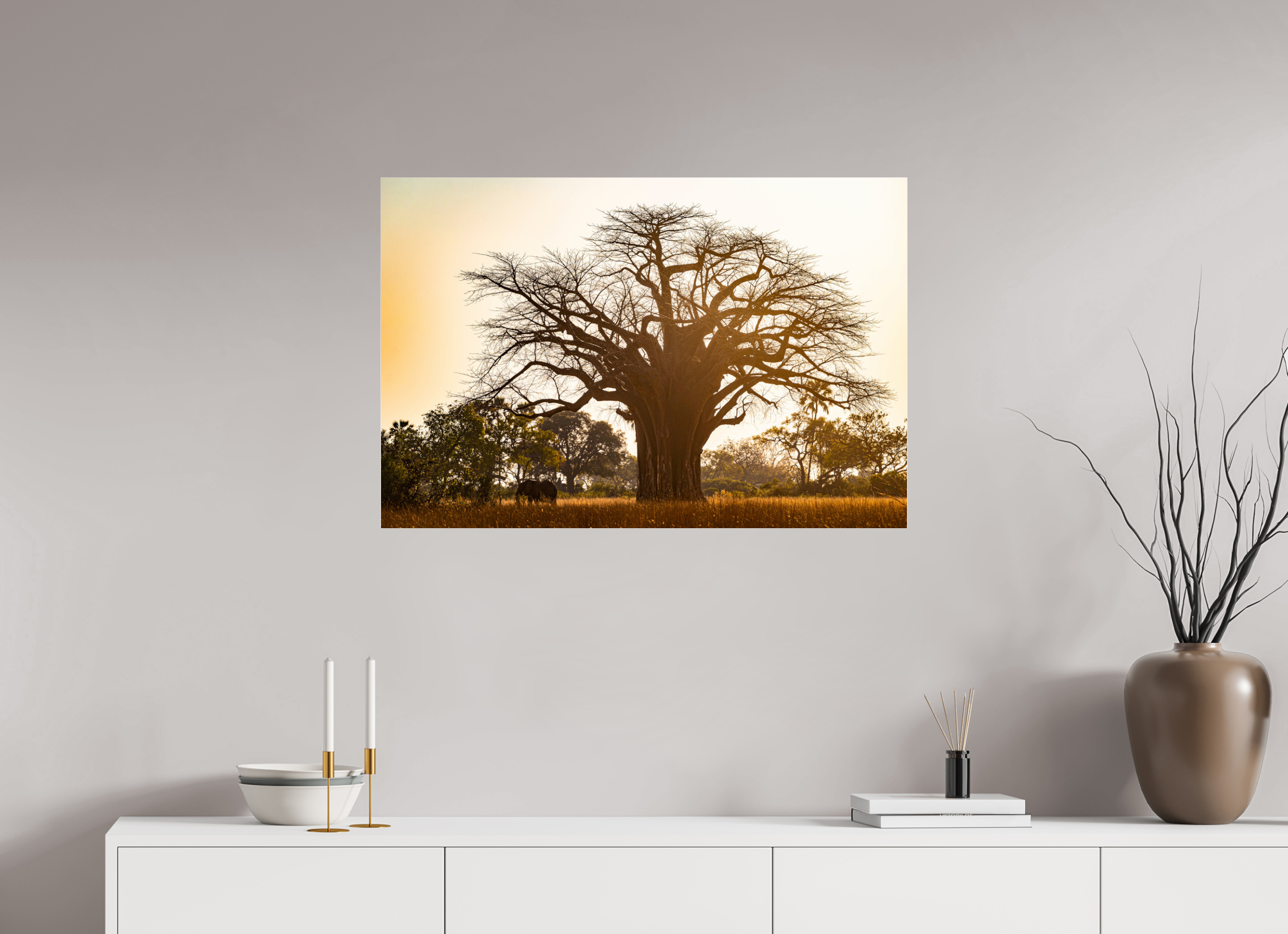 90 x 60 cm, Photo Print Under Acrylic Glass Baobab tree, Botswana, 2025