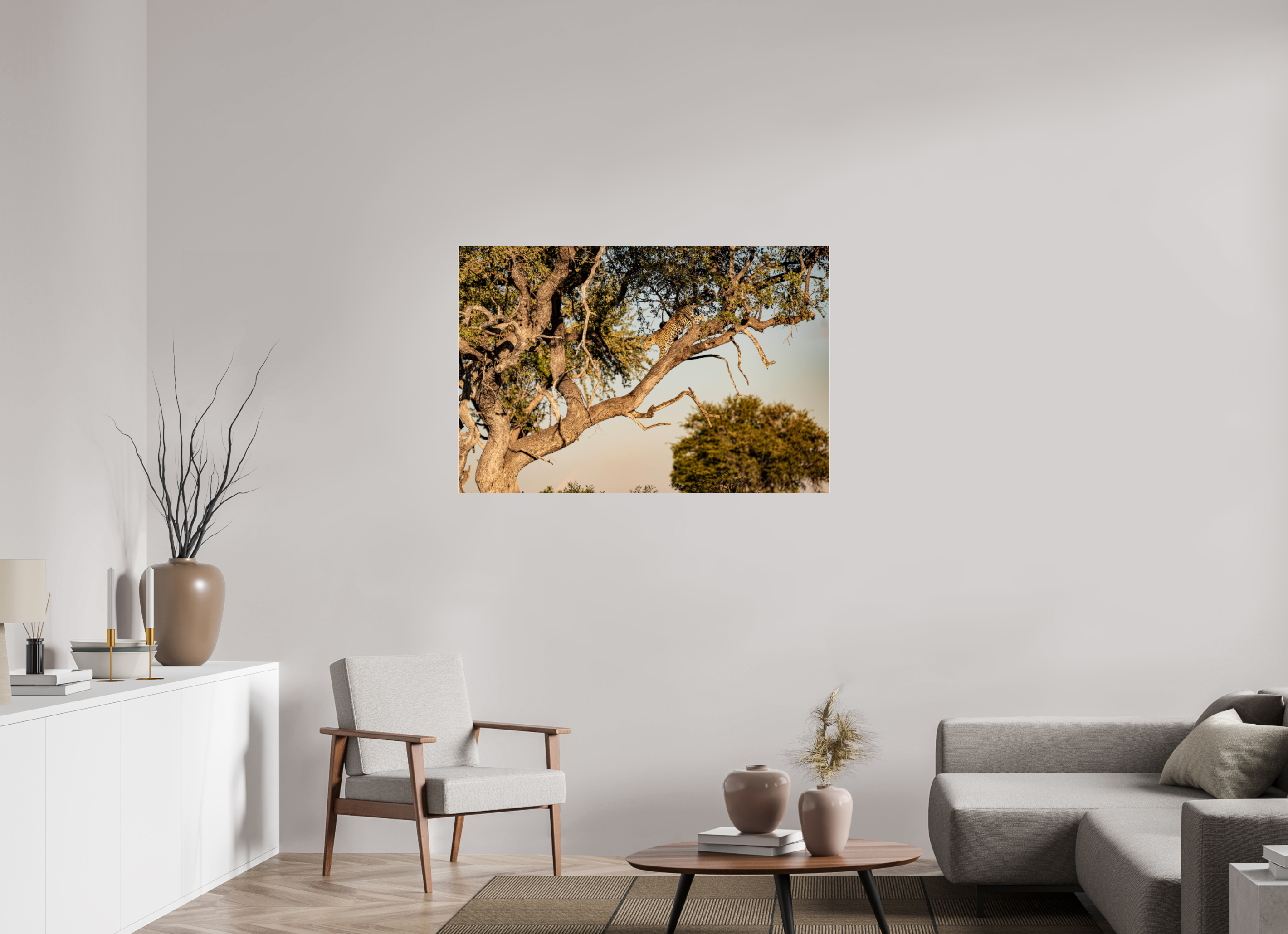 120 x 80 cm, Photo Print Under Acrylic Glass Leopard walking, Okavango Delta, Botswana, 2025