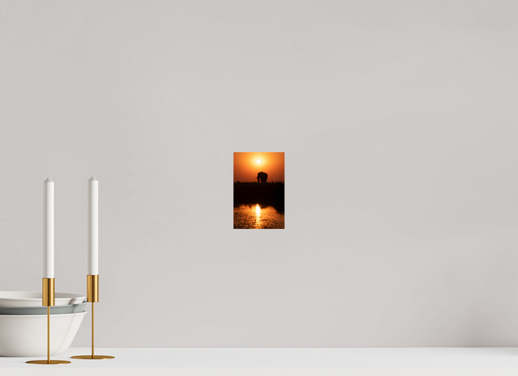 10 x 15 cm, Photo Print Under Acrylic Glass Elefant Sunset, Chobe, Namibia, 2025