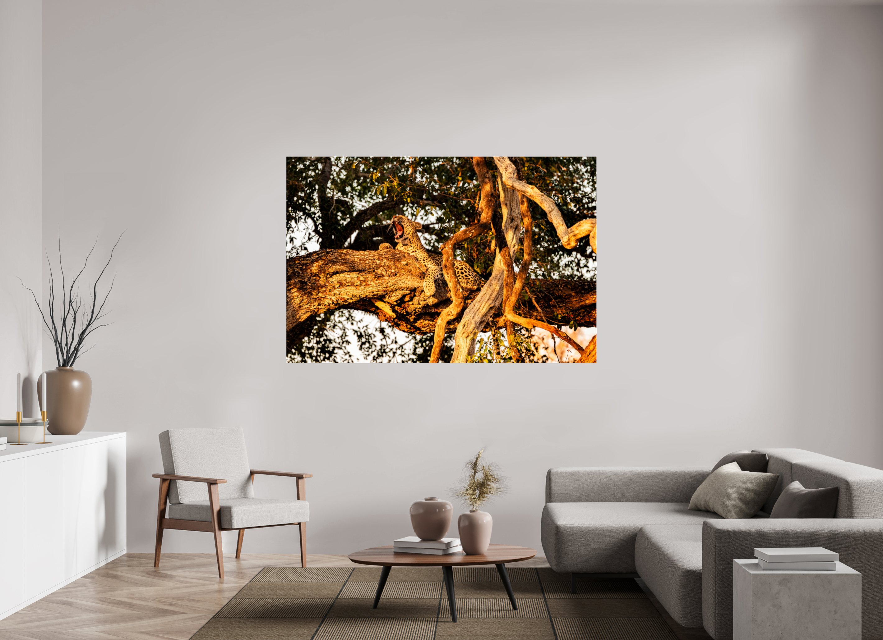 180 x 120 cm, Photo Print Under Acrylic Glass Yawning Leopard, Okavango Delta, Botswana, 2025