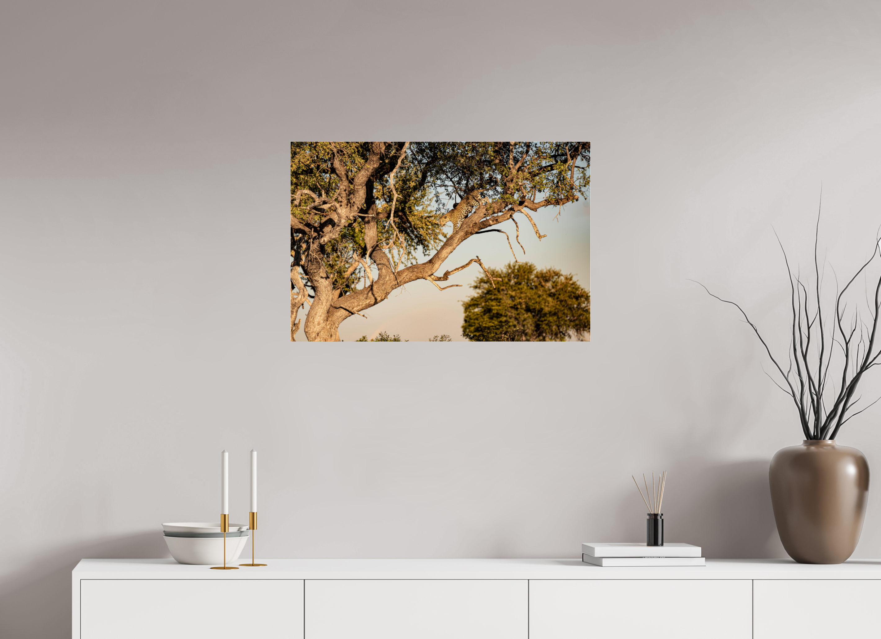 75 x 50 cm, Photo Print Under Acrylic Glass Leopard walking, Okavango Delta, Botswana, 2025