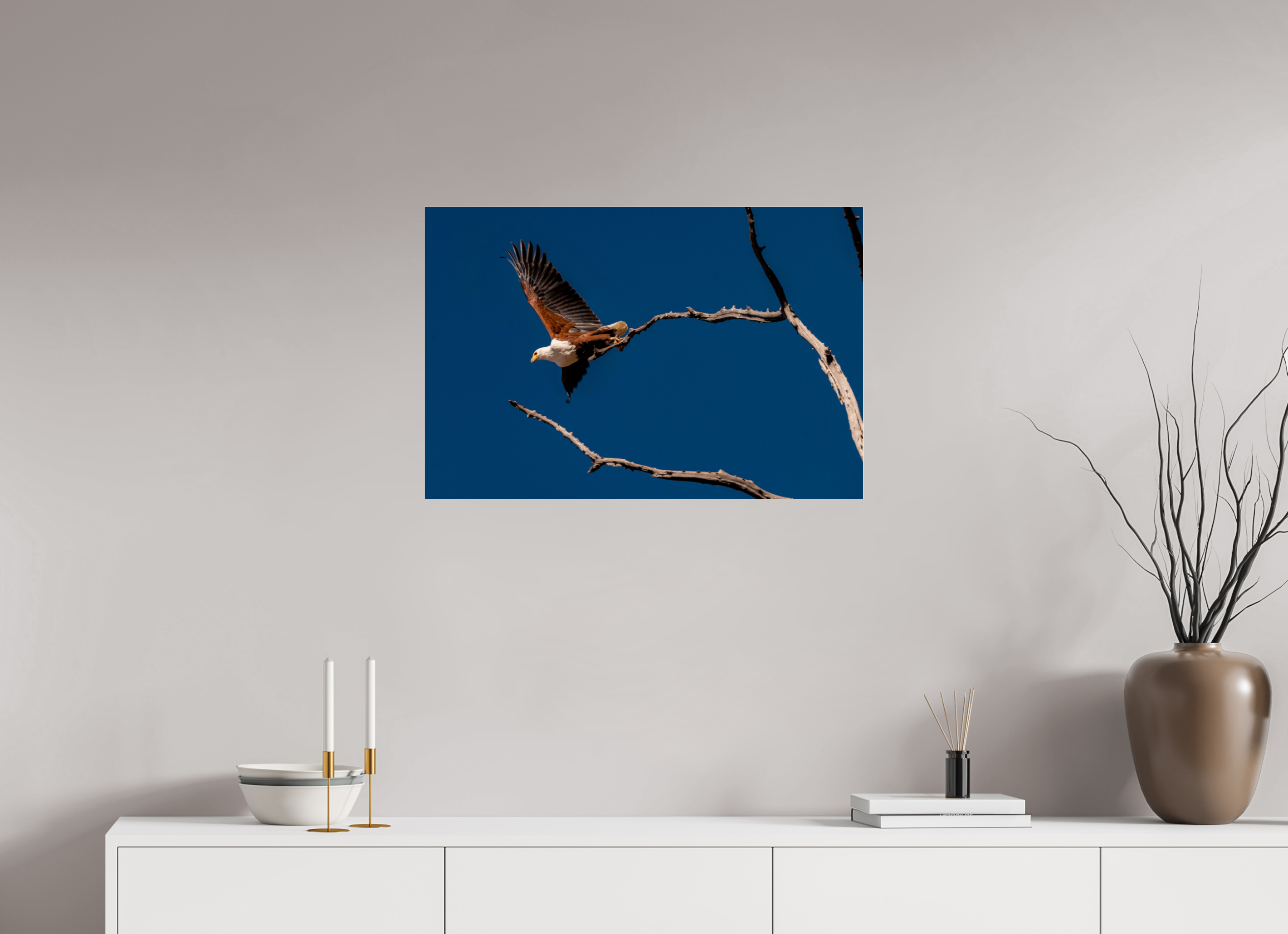75 x 50 cm, Photo Print Under Acrylic Glass Fish Eagle launching, Lake Kariba, Zimbabwe, 2018