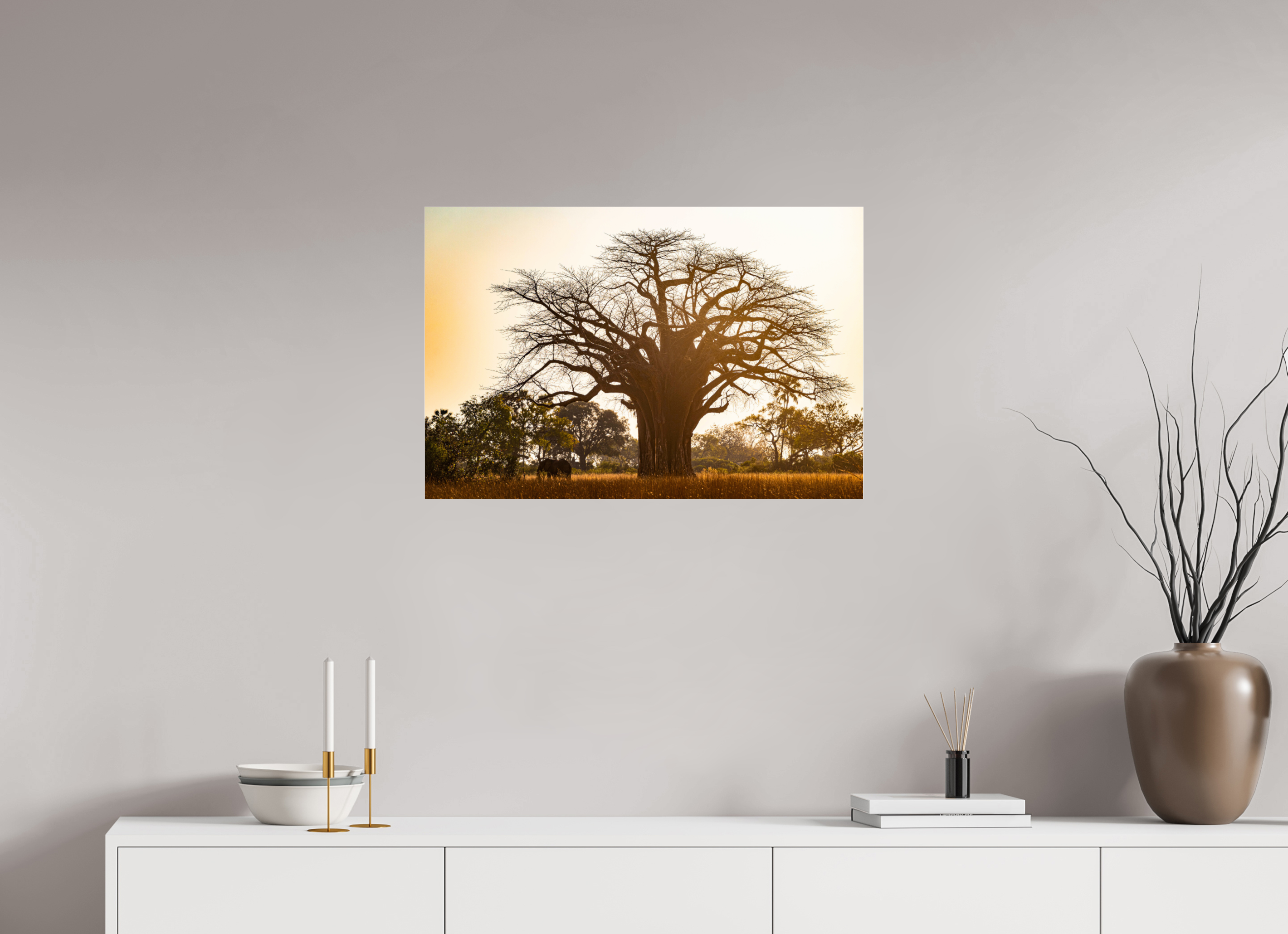 75 x 50 cm, Photo Print Under Acrylic Glass Baobab tree, Botswana, 2025