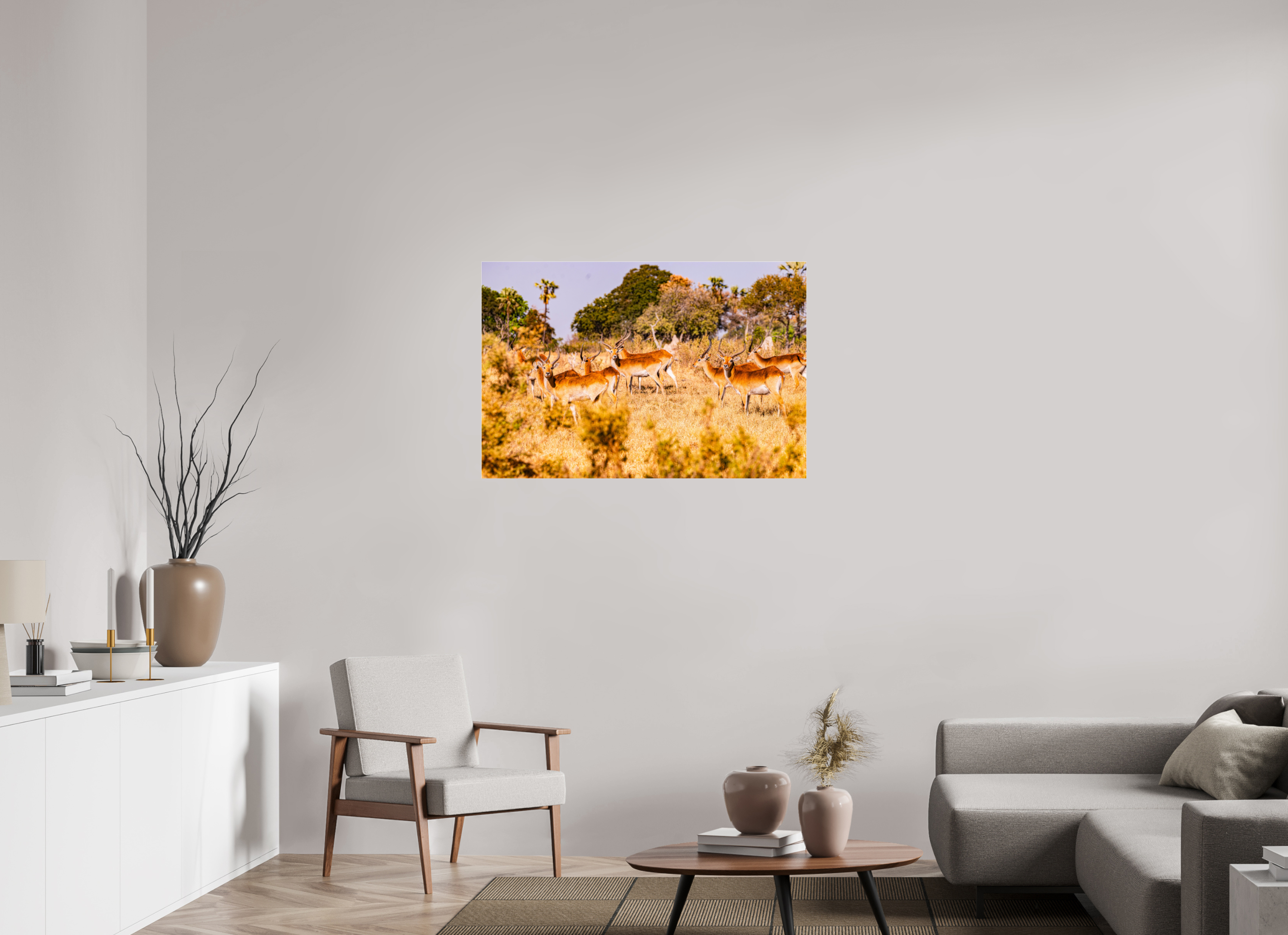 105 x 70 cm, Photo Print Under Acrylic Glass Lechwe Antilope, Okavango Delta, Botswana, 2025