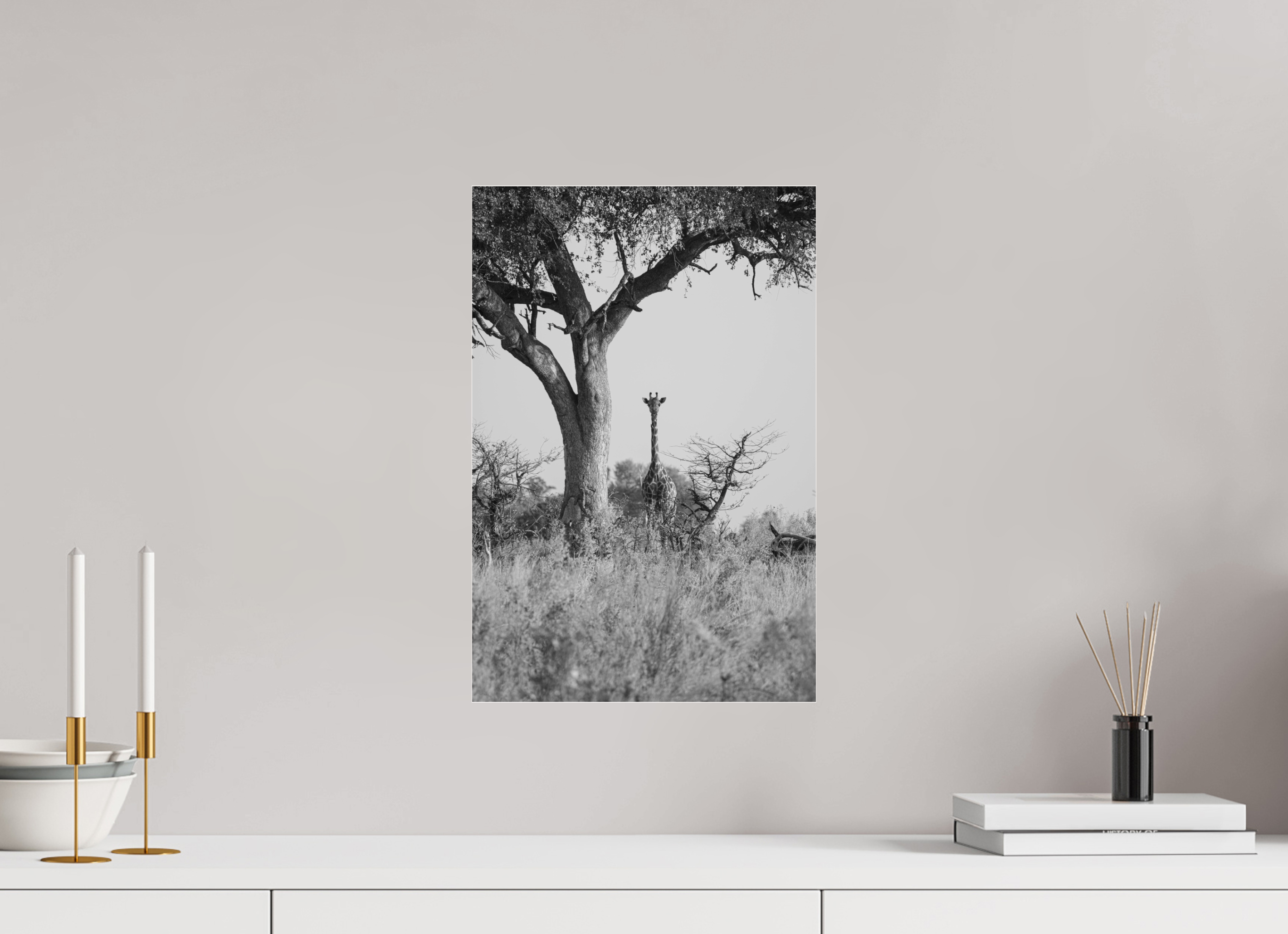 30 x 45 cm, Photo Print Under Acrylic Glass Giraffe, Okavango Delta, Botswana, 2025