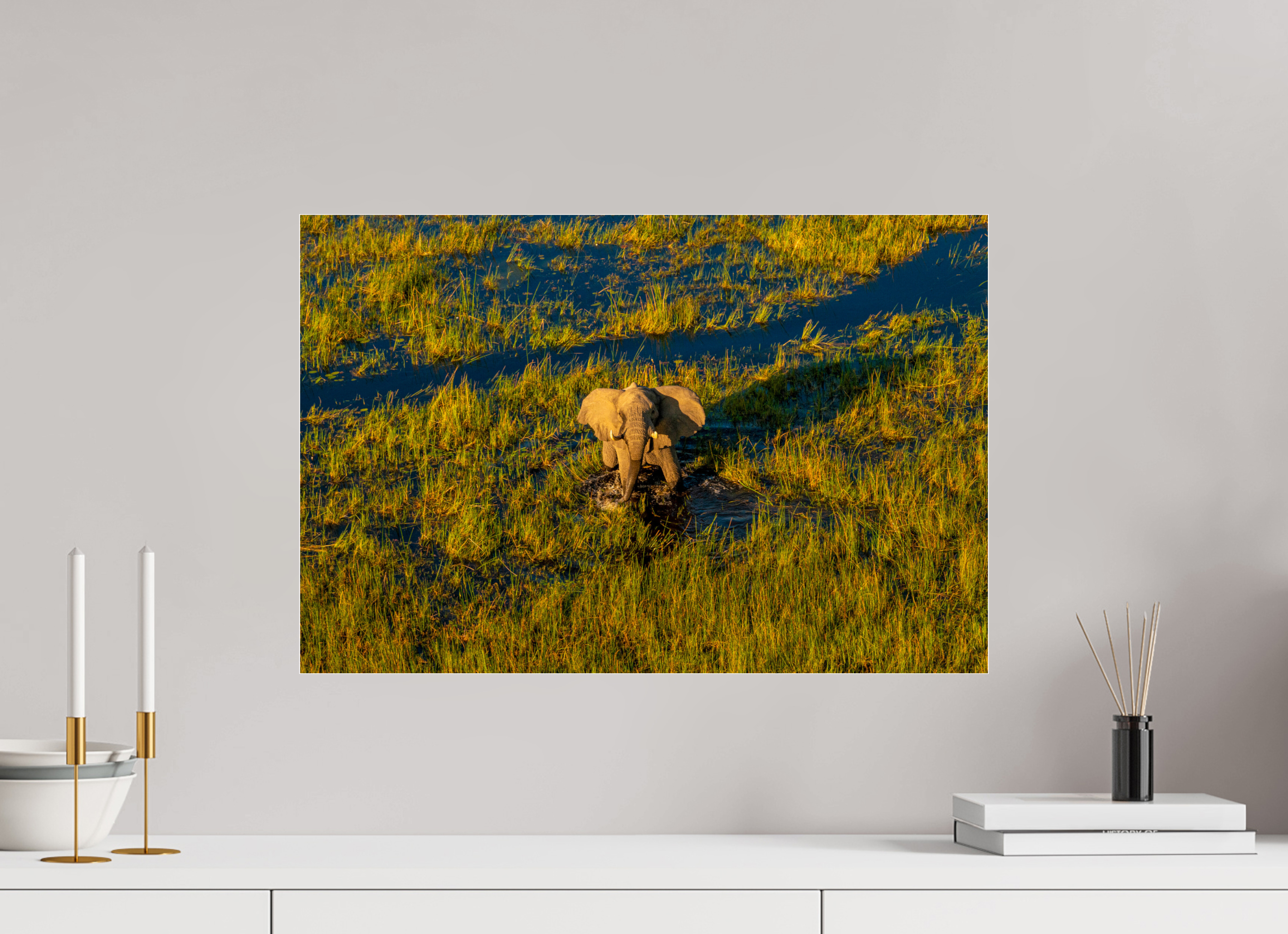 60 x 40 cm, Photo Print Under Acrylic Glass Elefant from above, Okavango Delta, Botswana, 2025