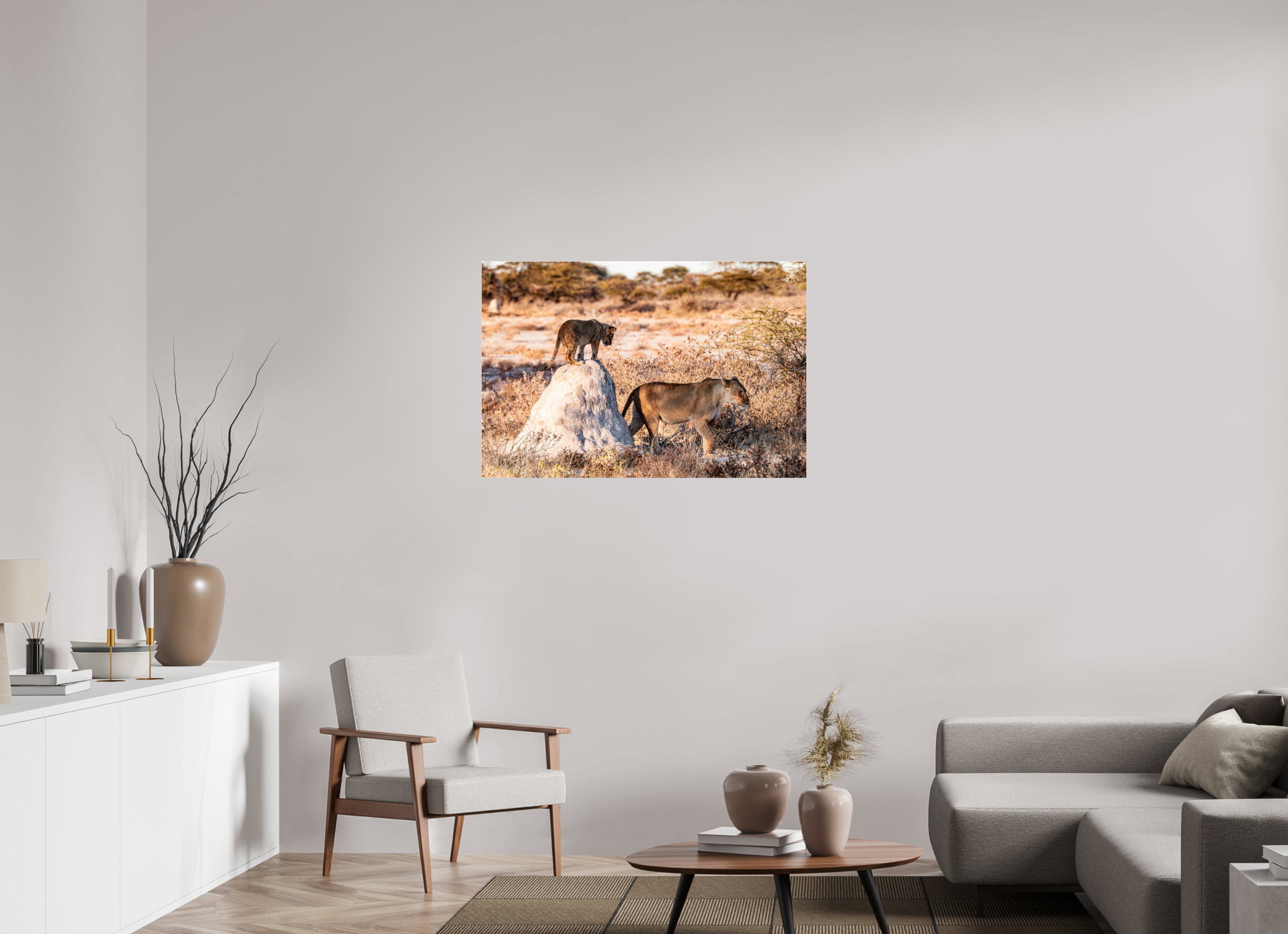 105 x 70 cm, Photo Print Under Acrylic Glass Lion mother with cub, Chobe National Park, Botswana, 2025