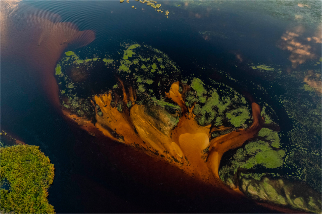 Main image Okavango Delta, Botswana, 2018