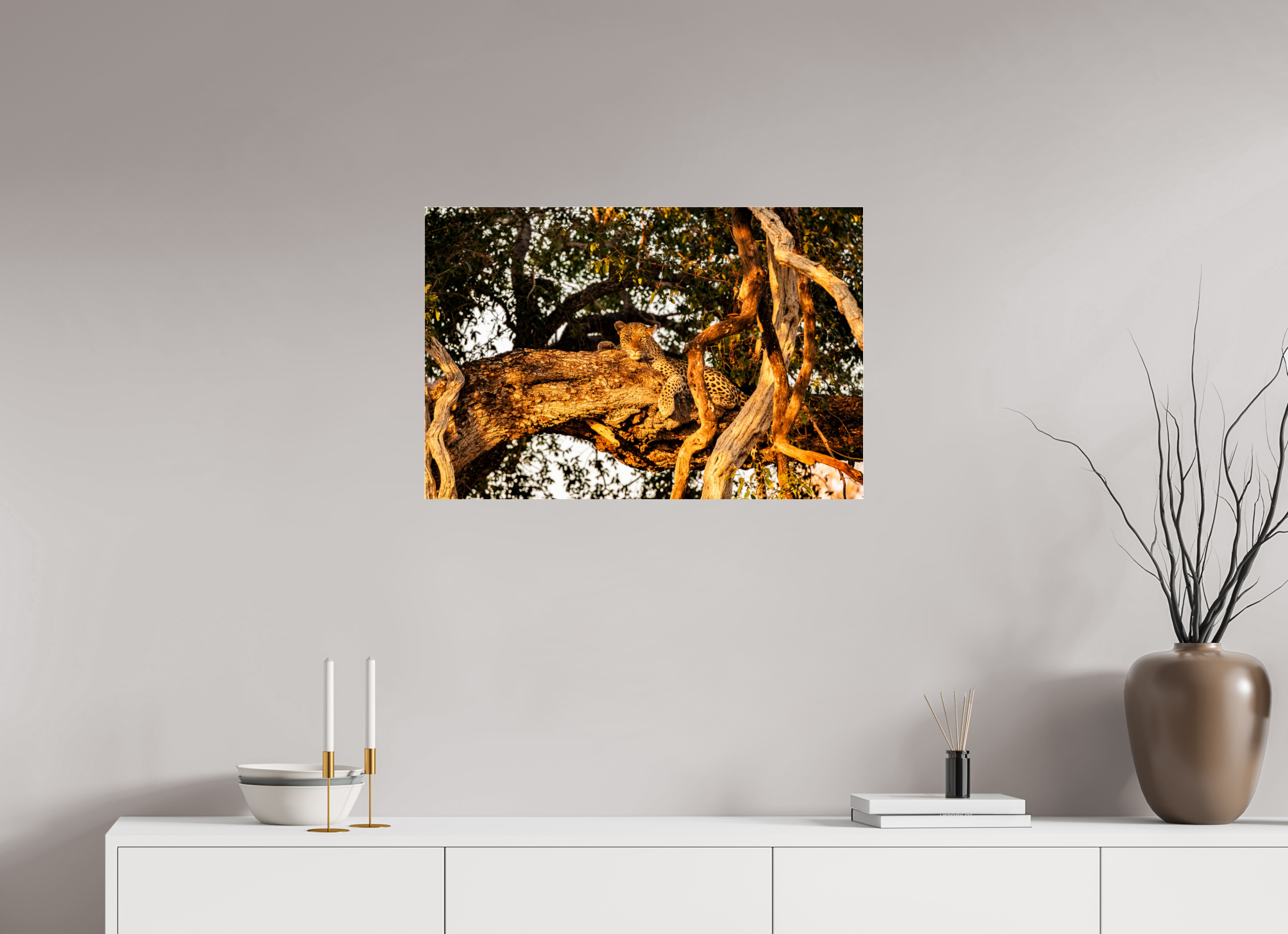 75 x 50 cm, Photo Print Under Acrylic Glass Leopard_Okavango_Delta