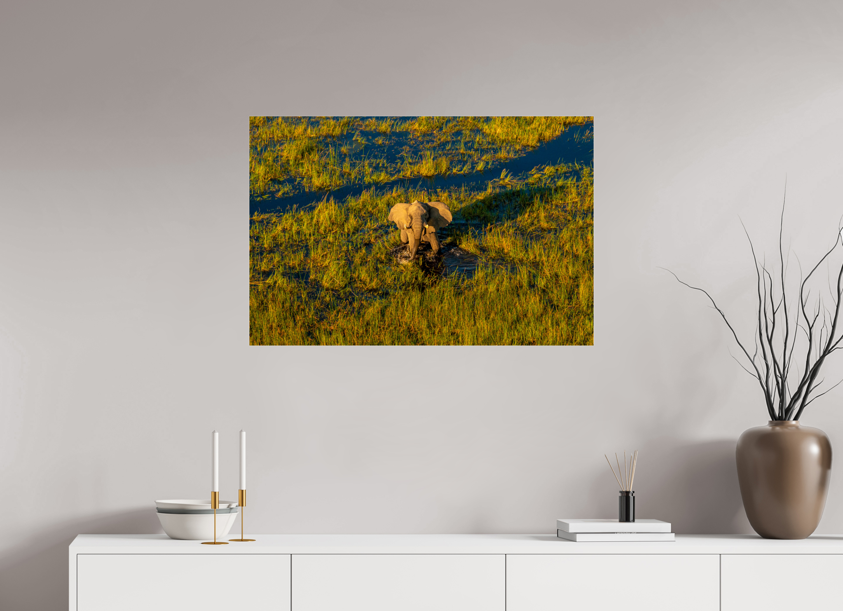 90 x 60 cm, Photo Print Under Acrylic Glass Elefant from above, Okavango Delta, Botswana, 2025