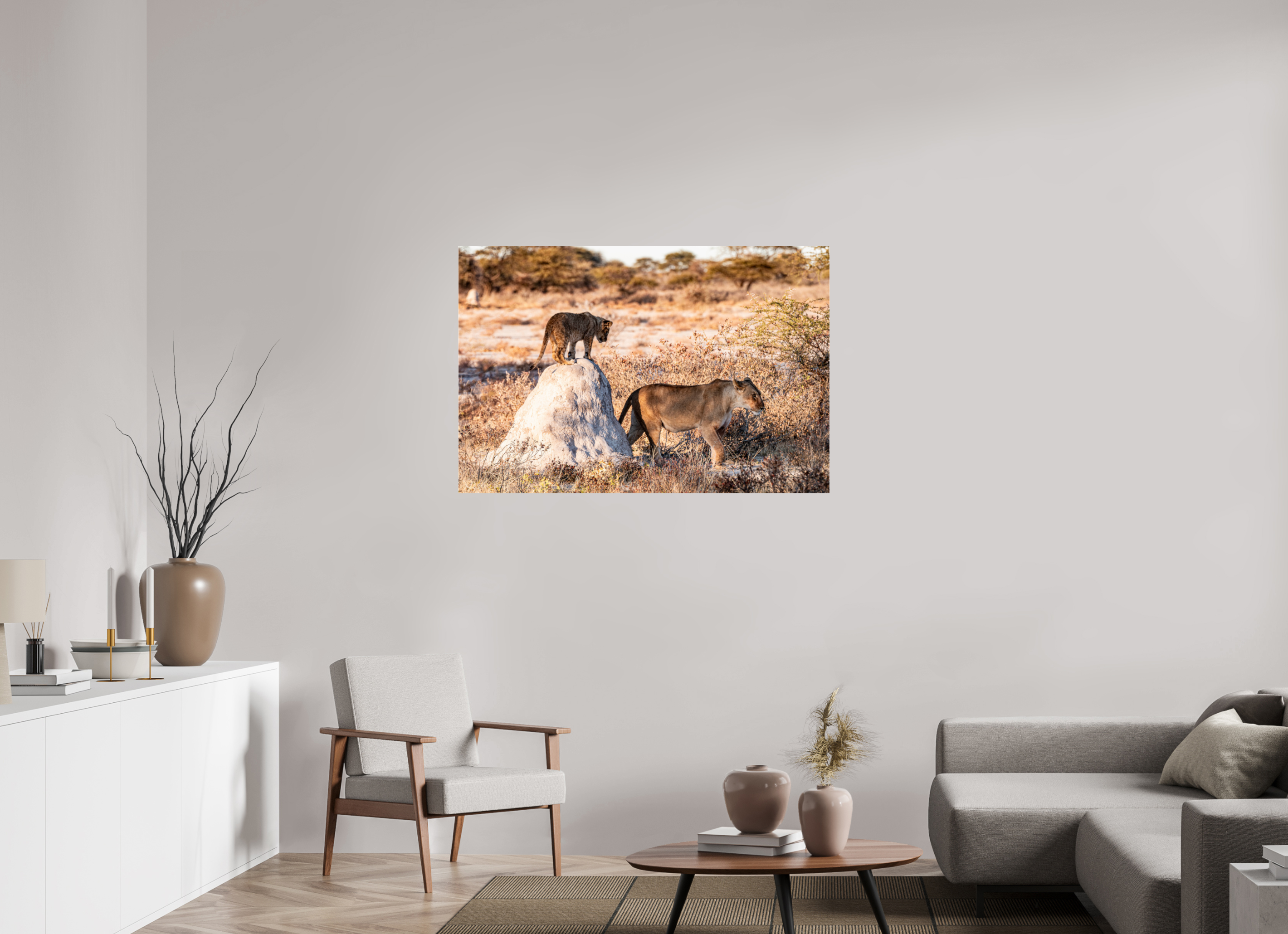 120 x 80 cm, Photo Print Under Acrylic Glass Lion mother with cub, Chobe National Park, Botswana, 2025