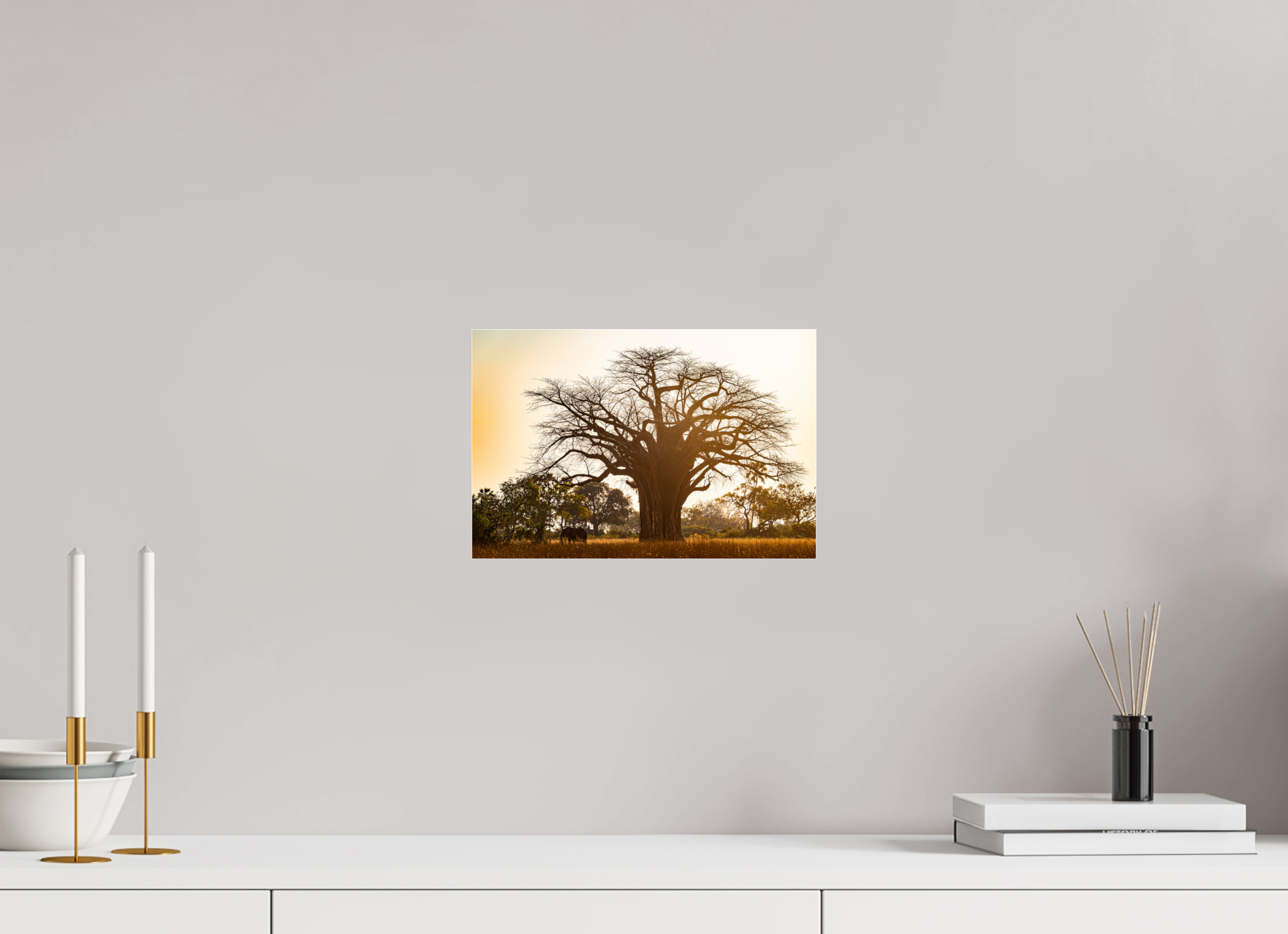 30 x 20 cm, Photo Print Under Acrylic Glass Baobab tree, Botswana, 2025