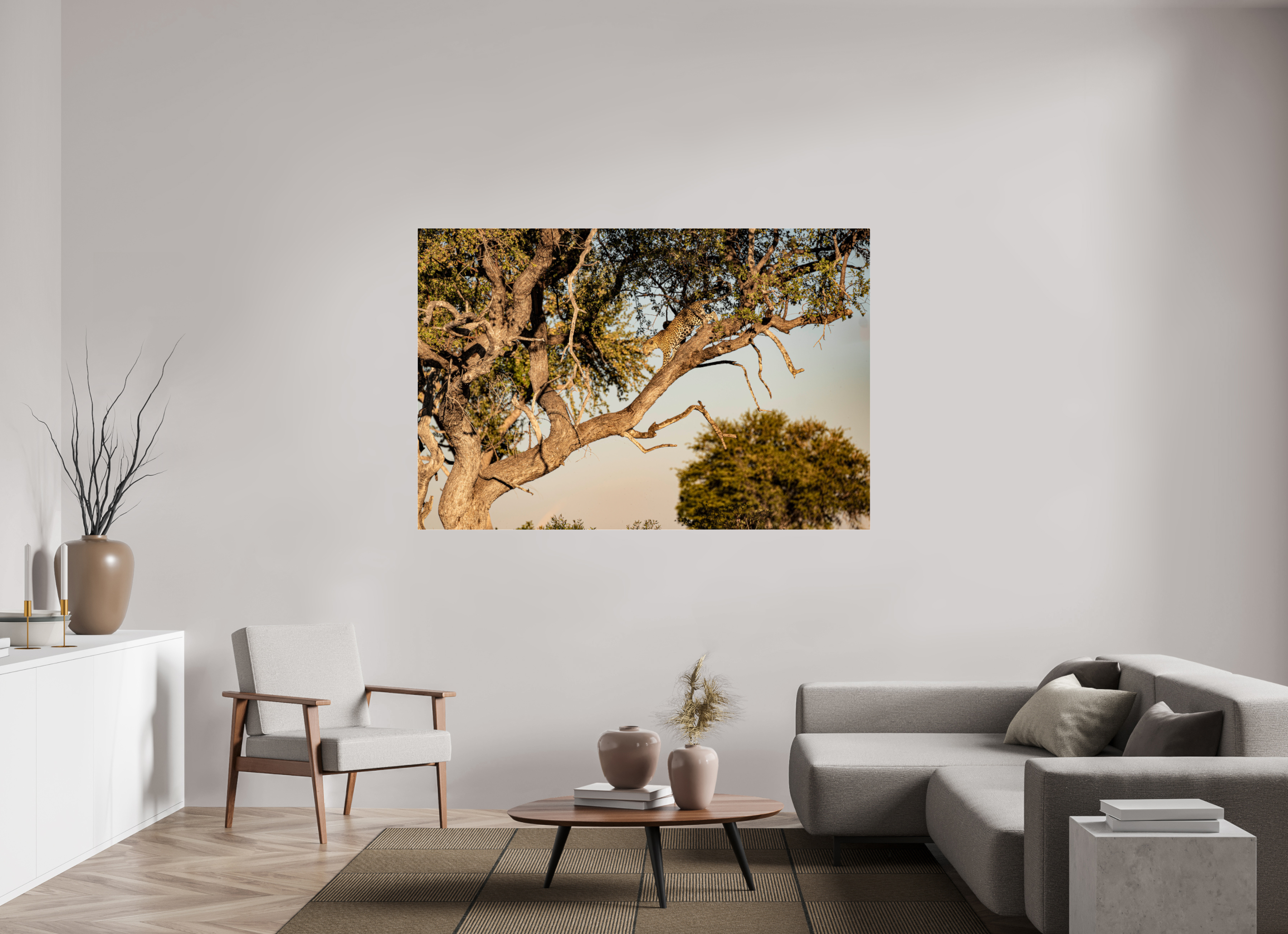 180 x 120 cm, Photo Print Under Acrylic Glass Leopard walking, Okavango Delta, Botswana, 2025