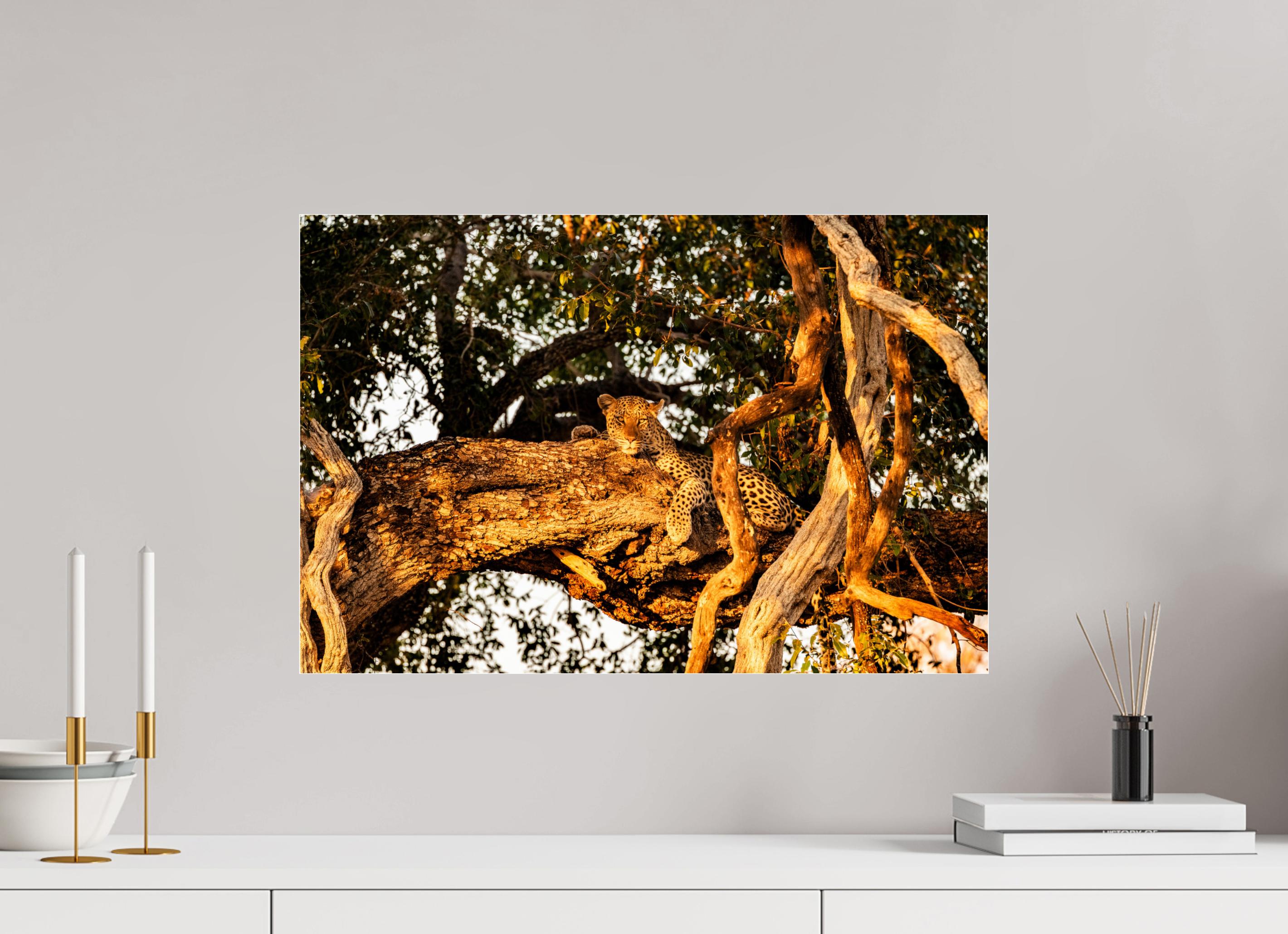 60 x 40 cm, Photo Print Under Acrylic Glass Leopard_Okavango_Delta