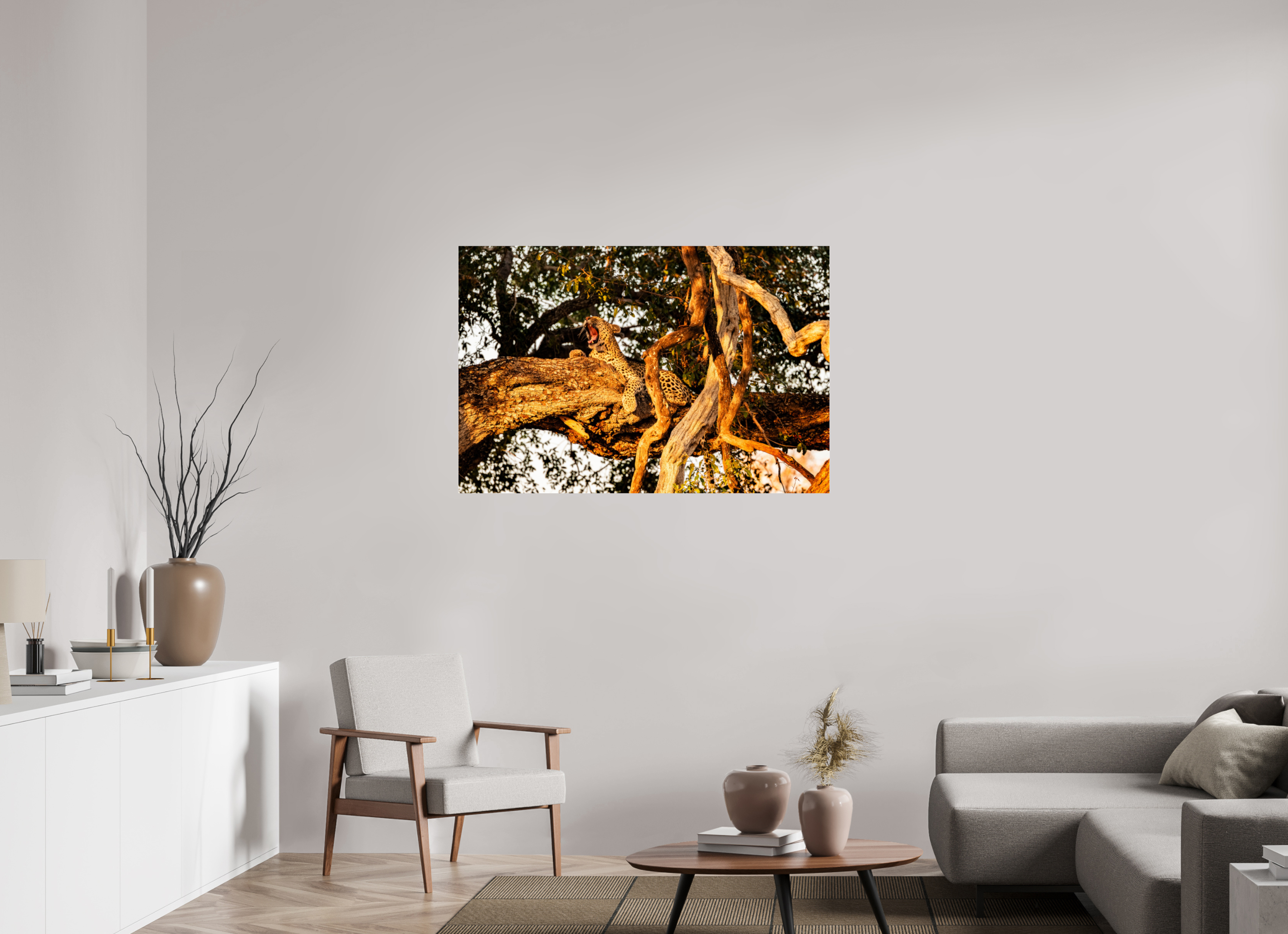 120 x 80 cm, Photo Print Under Acrylic Glass Yawning Leopard, Okavango Delta, Botswana, 2025