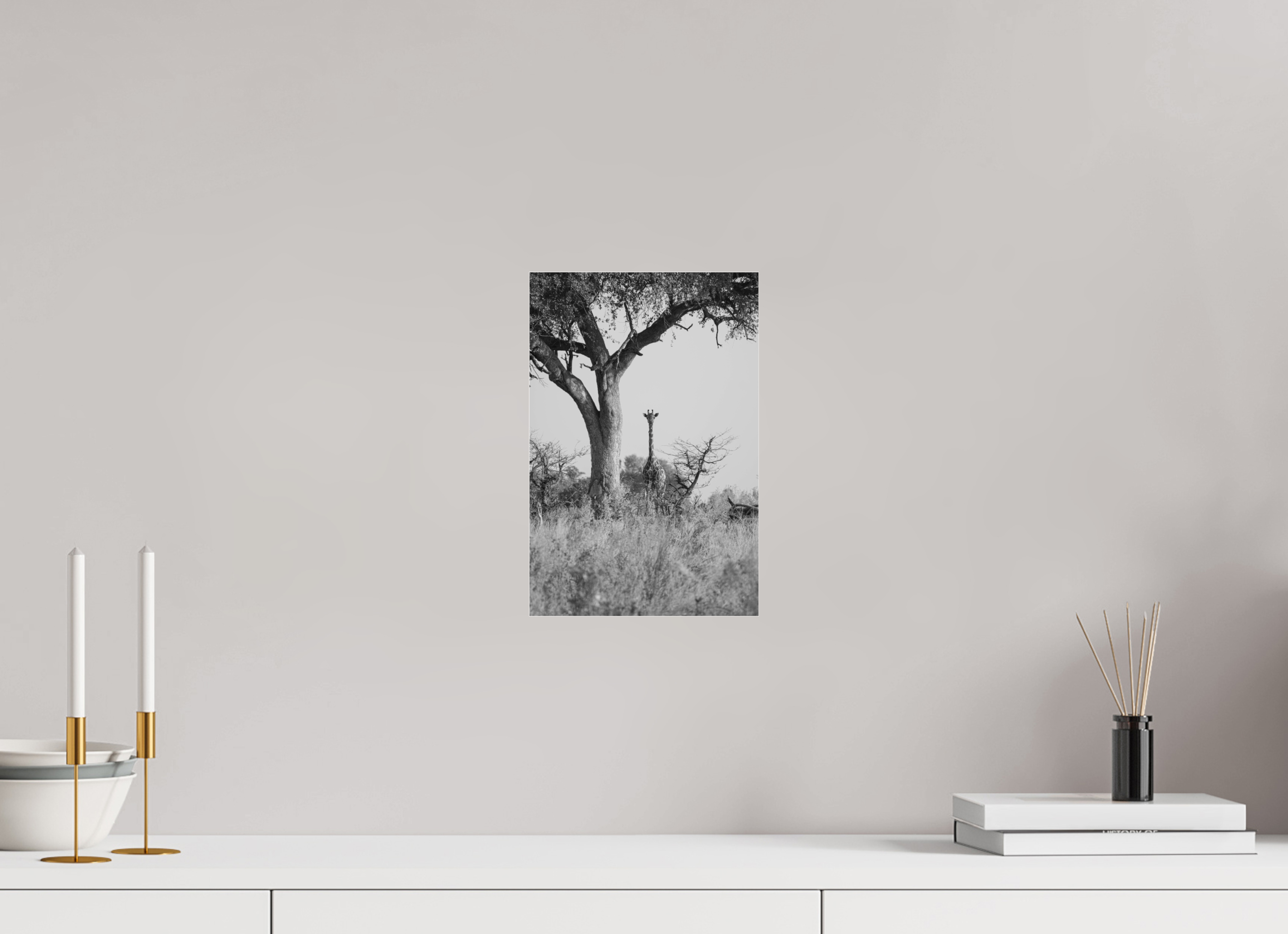 20 x 30 cm, Photo Print Under Acrylic Glass Giraffe, Okavango Delta, Botswana, 2025