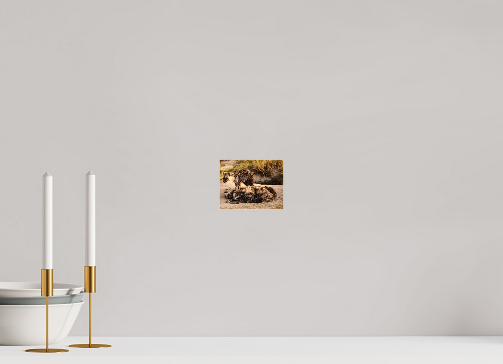 12,8 x 10 cm, Photo Print Under Acrylic Glass Hyena Family, Okavango Delta, Botswana, 2025