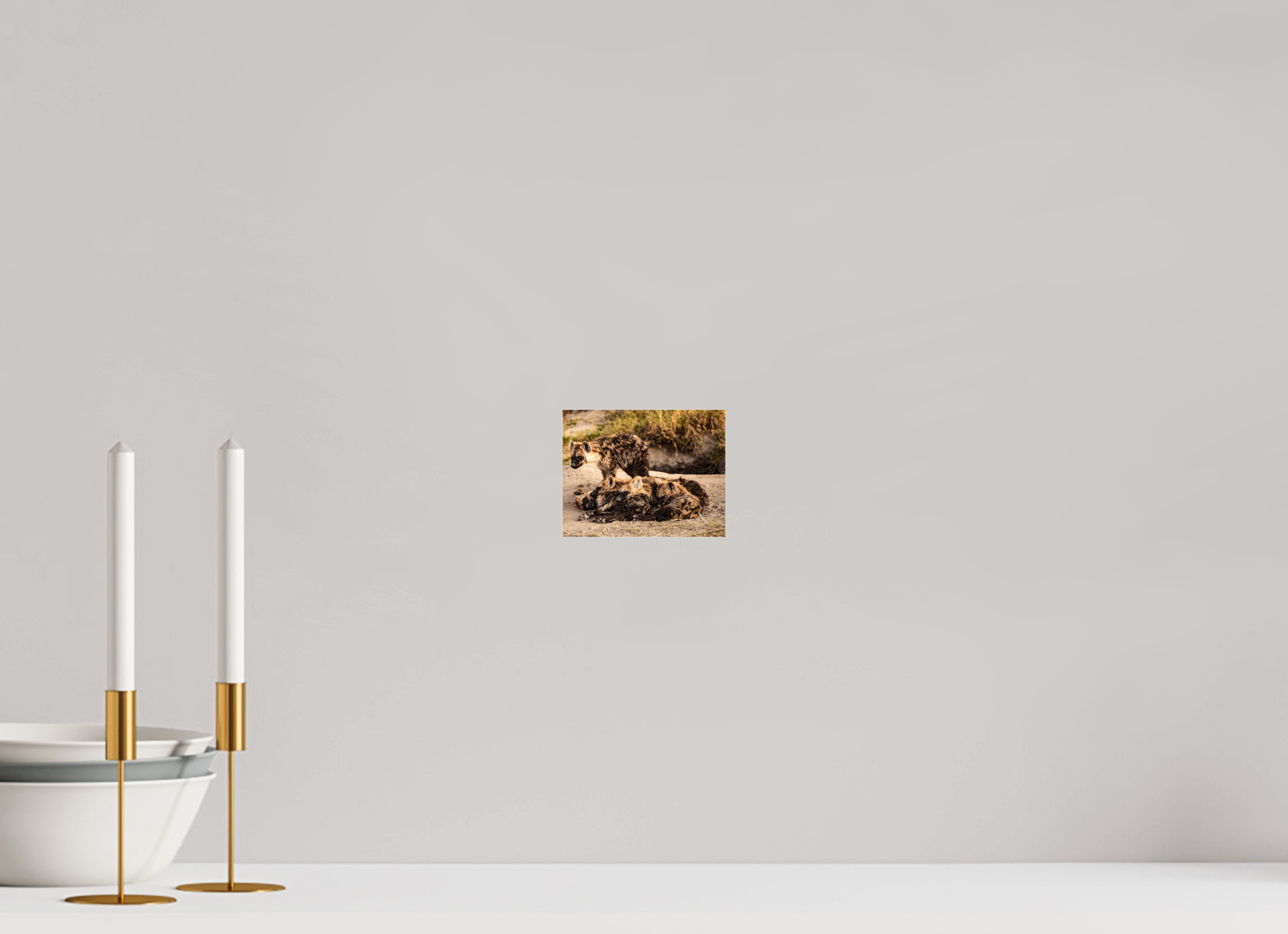 12,8 x 10 cm, Photo Print Under Acrylic Glass Hyena Family, Okavango Delta, Botswana, 2025