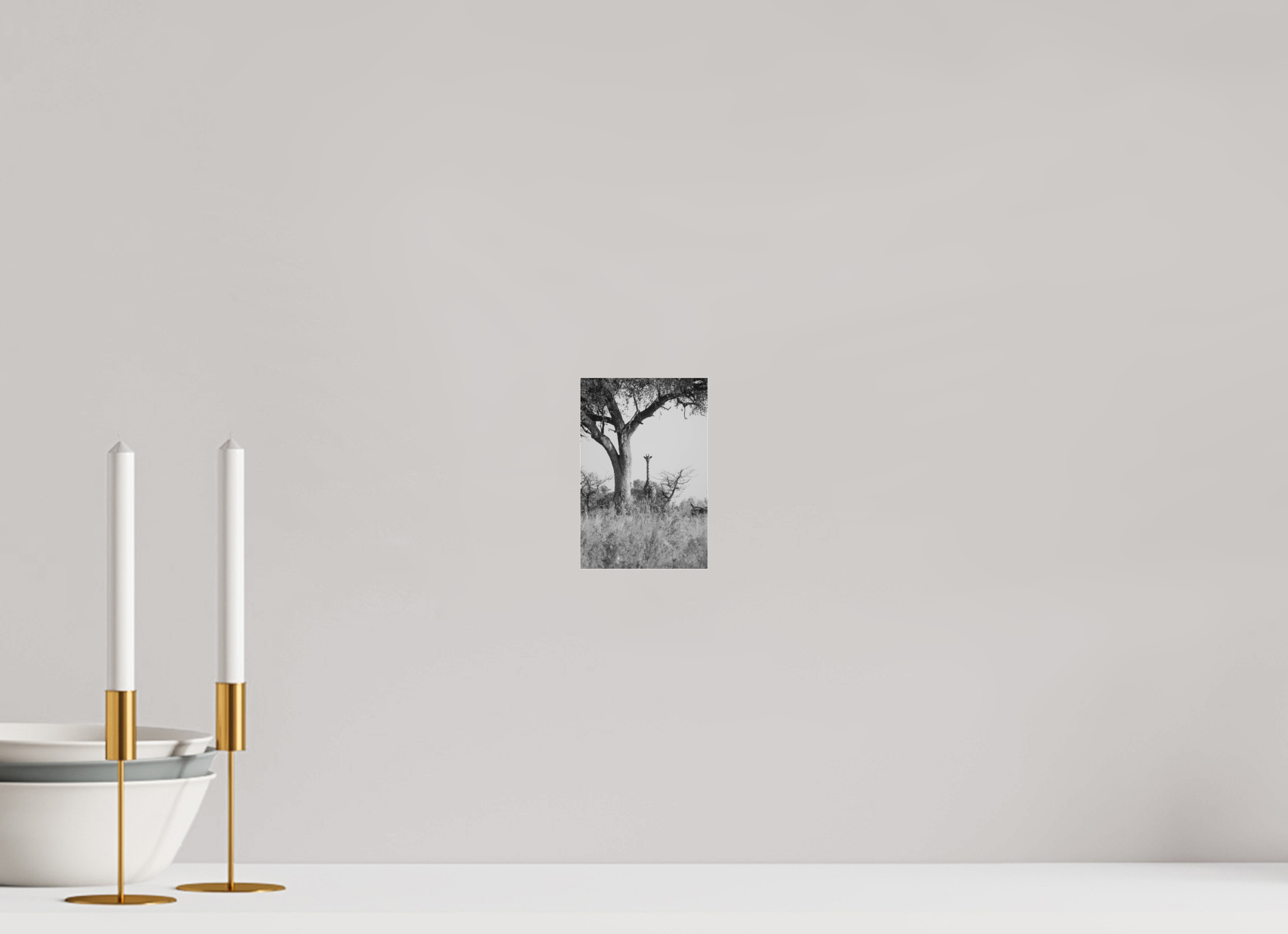 10 x 15 cm, Photo Print Under Acrylic Glass Giraffe, Okavango Delta, Botswana, 2025