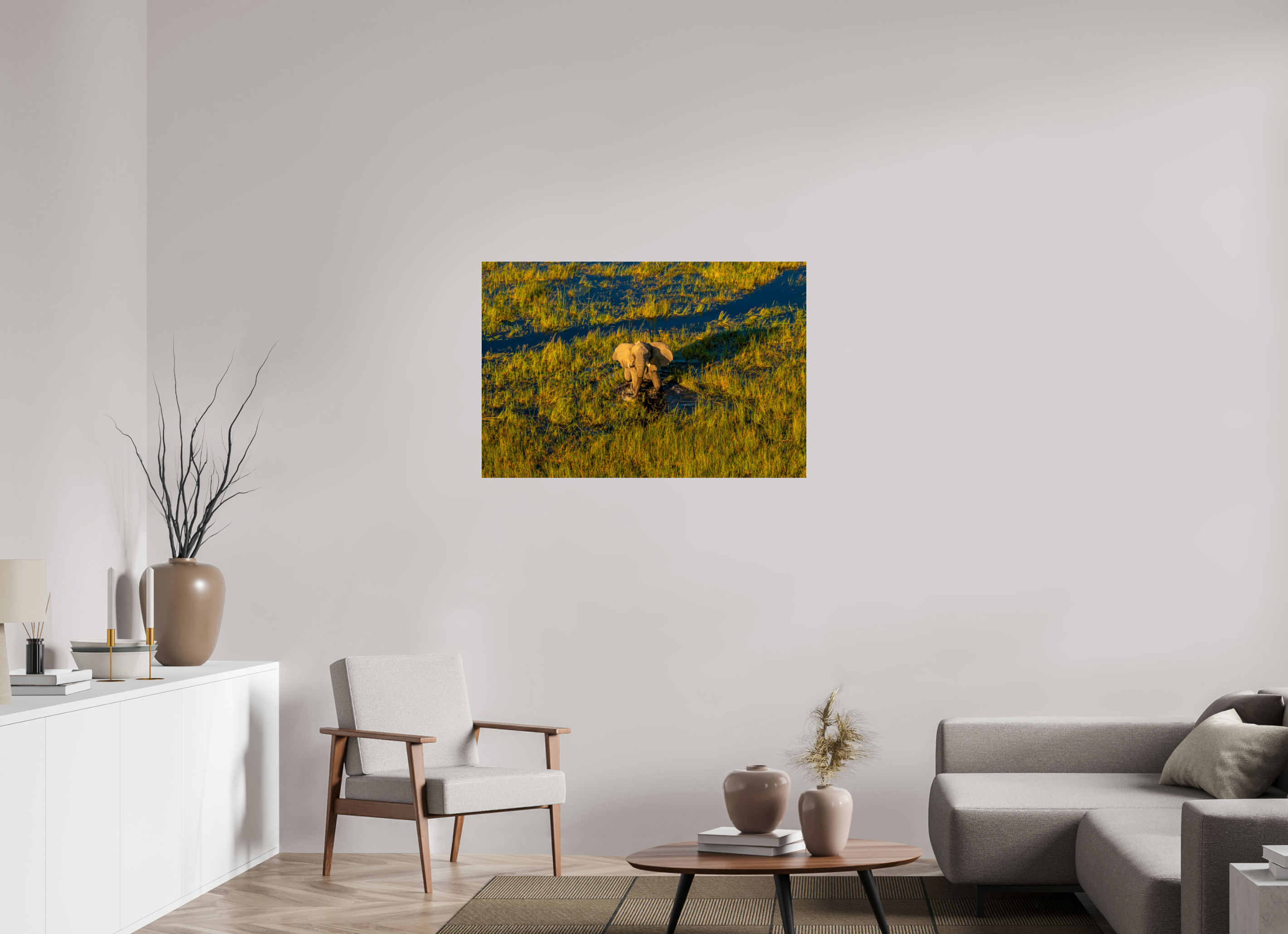 105 x 70 cm, Photo Print Under Acrylic Glass Elefant from above, Okavango Delta, Botswana, 2025