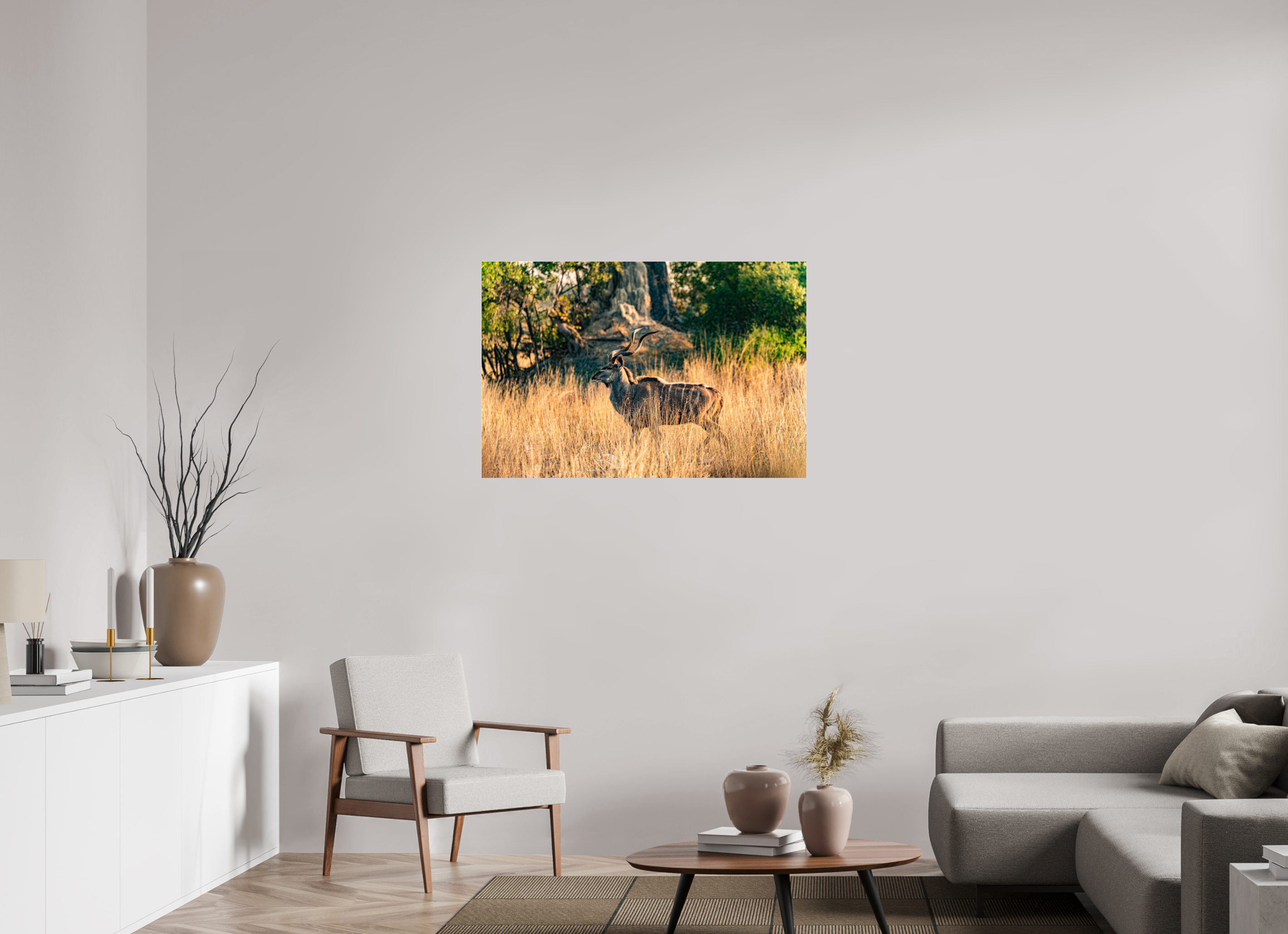 105 x 70 cm, Photo Print Under Acrylic Glass Kudu Antilope, Okavango Delta, Botswana, 2025