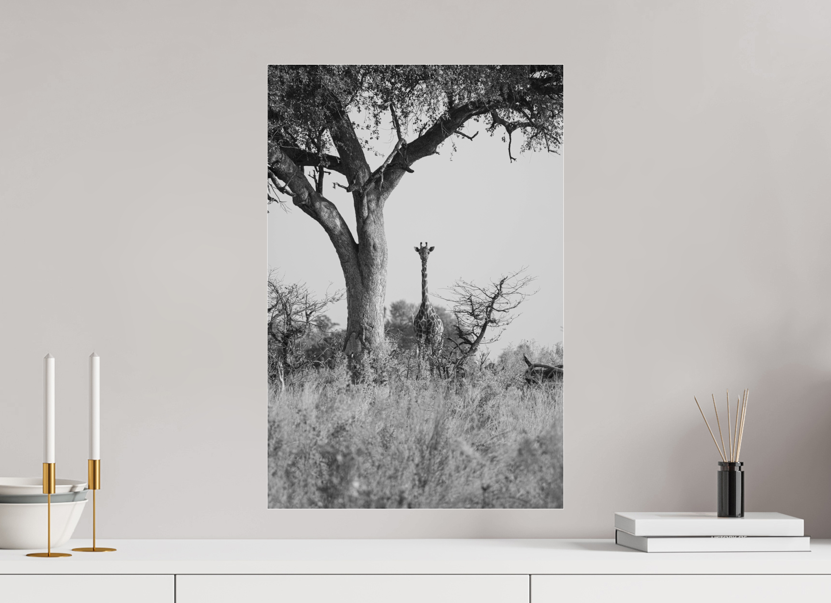 40 x 60 cm, Photo Print Under Acrylic Glass Giraffe, Okavango Delta, Botswana, 2025