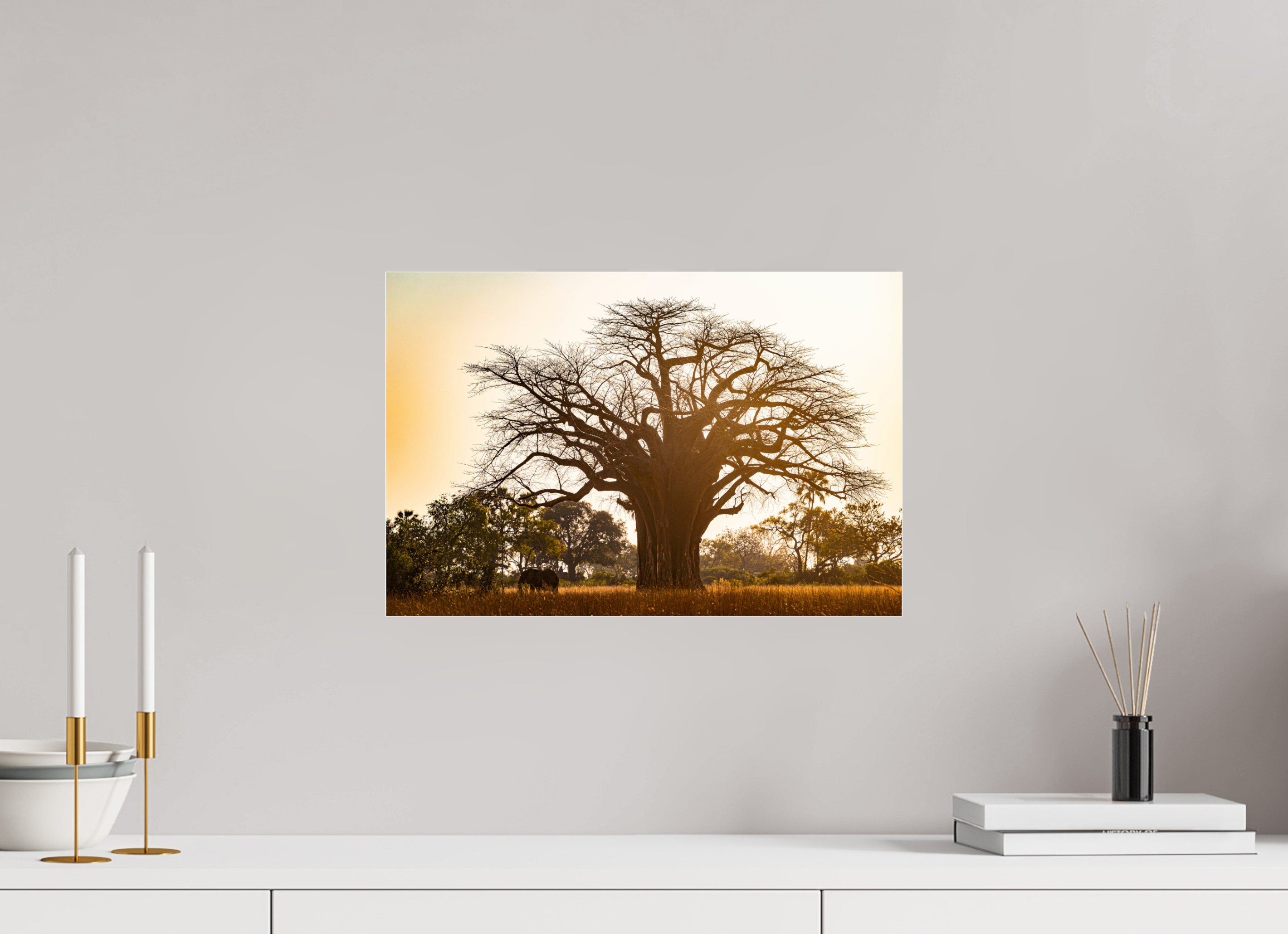 45 x 30 cm, Photo Print Under Acrylic Glass Baobab tree, Botswana, 2025