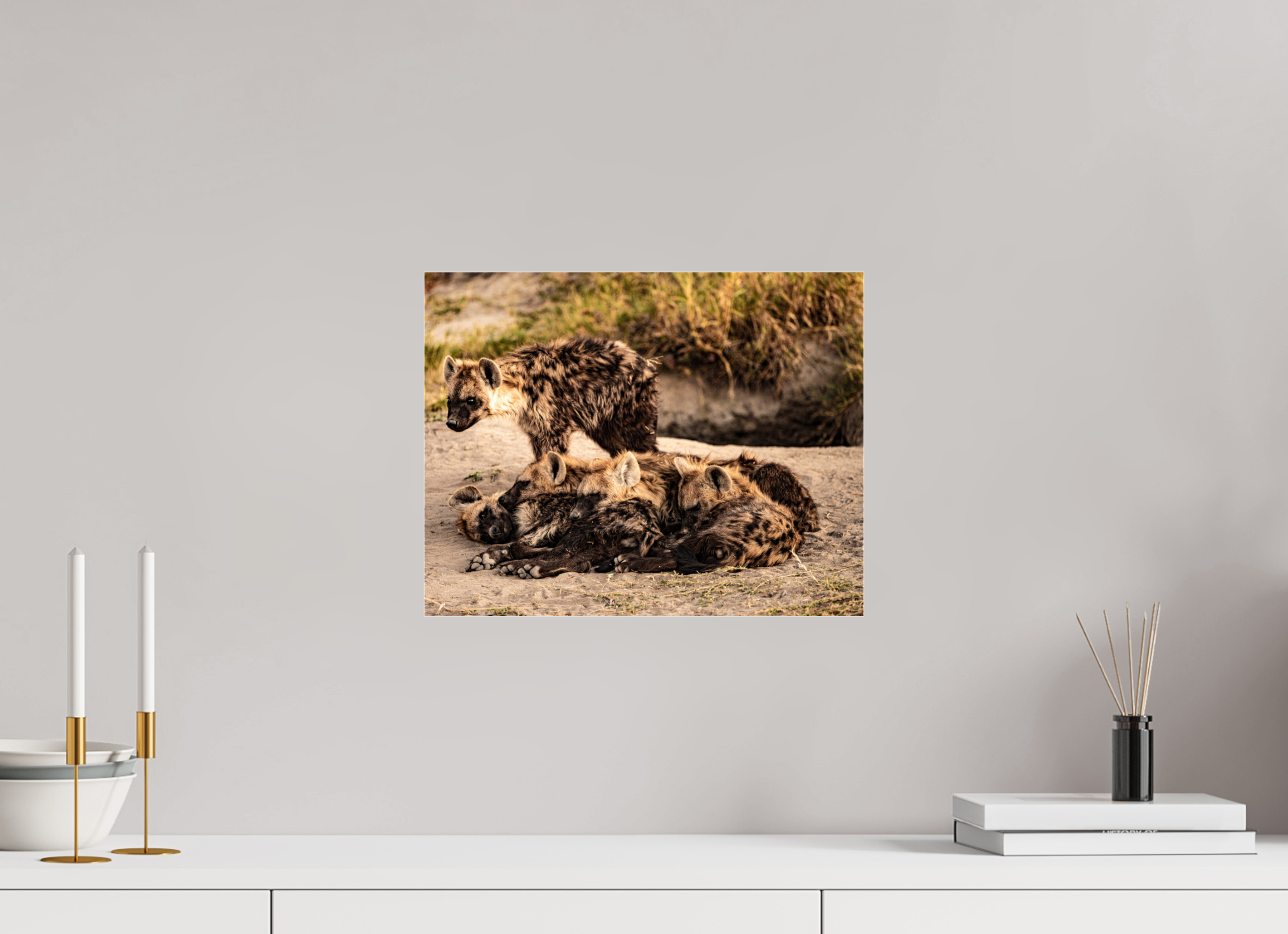 38,3 x 30 cm, Photo Print Under Acrylic Glass Hyena Family, Okavango Delta, Botswana, 2025