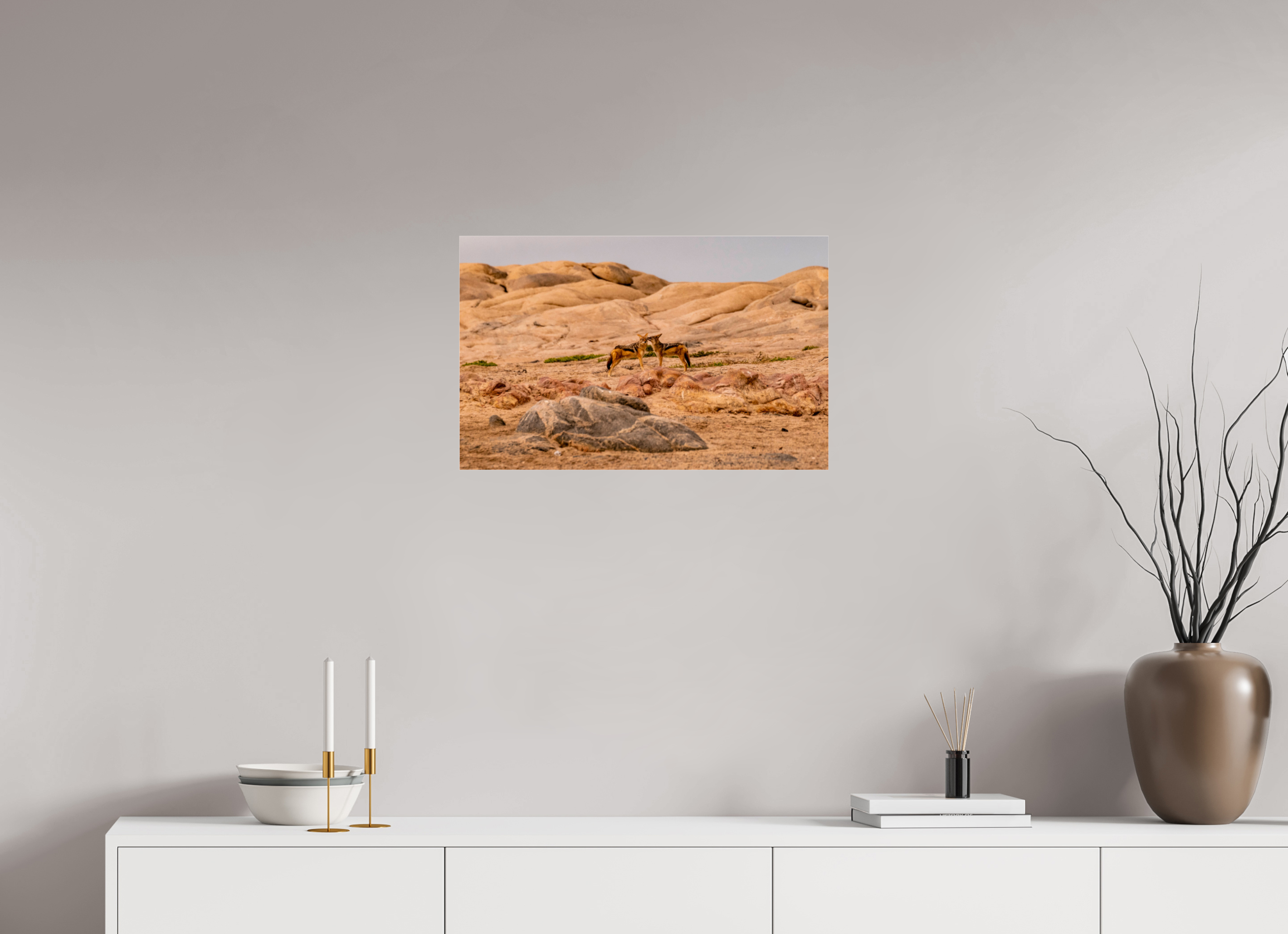 63,1 x 40 cm, Photo Print Under Acrylic Glass Jackal, Skeleton Cost, Namibia, 2025