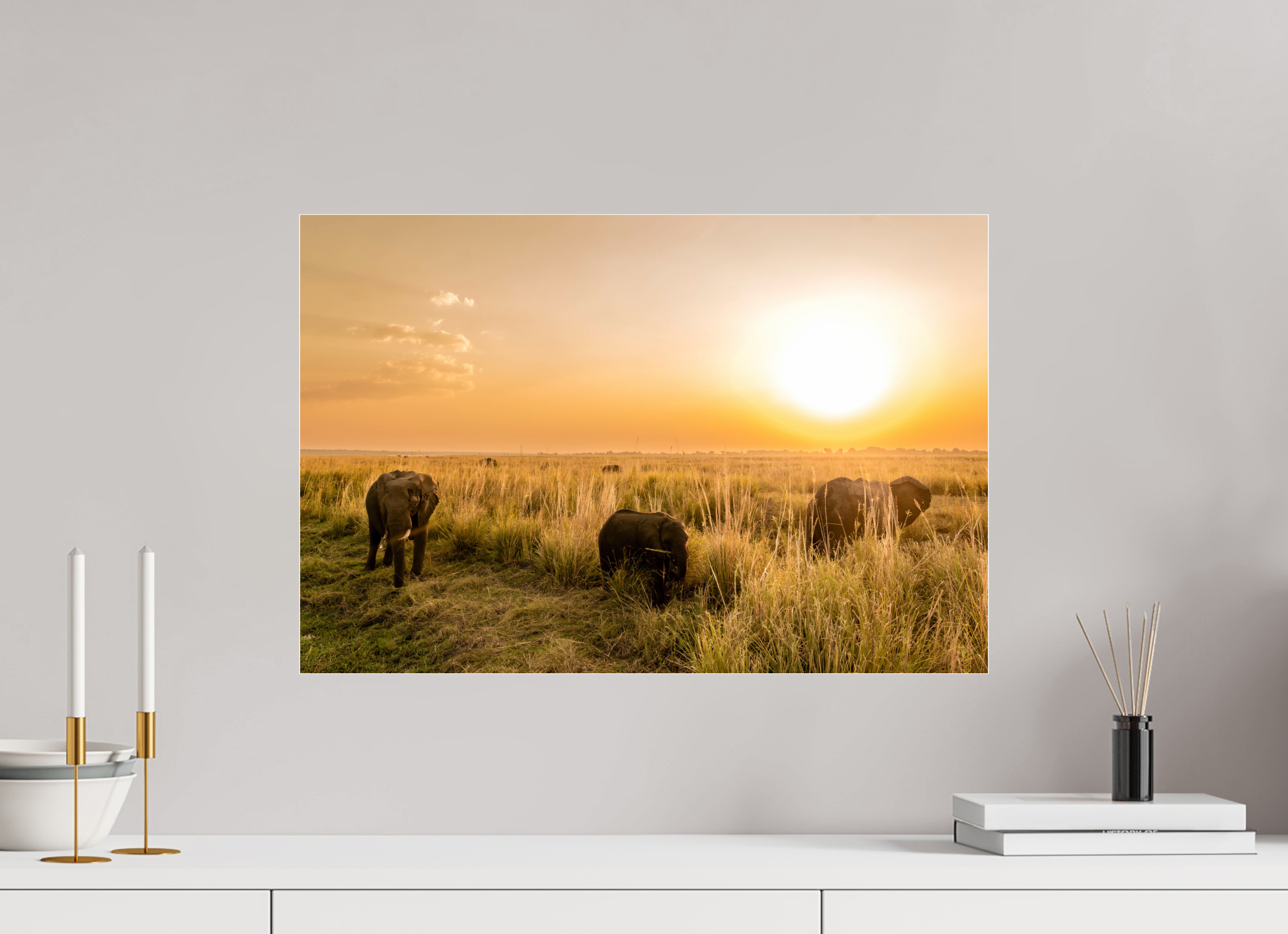 60 x 40 cm, Photo Print Under Acrylic Glass Elefant on Island, Chobe River, Namibia, 2025